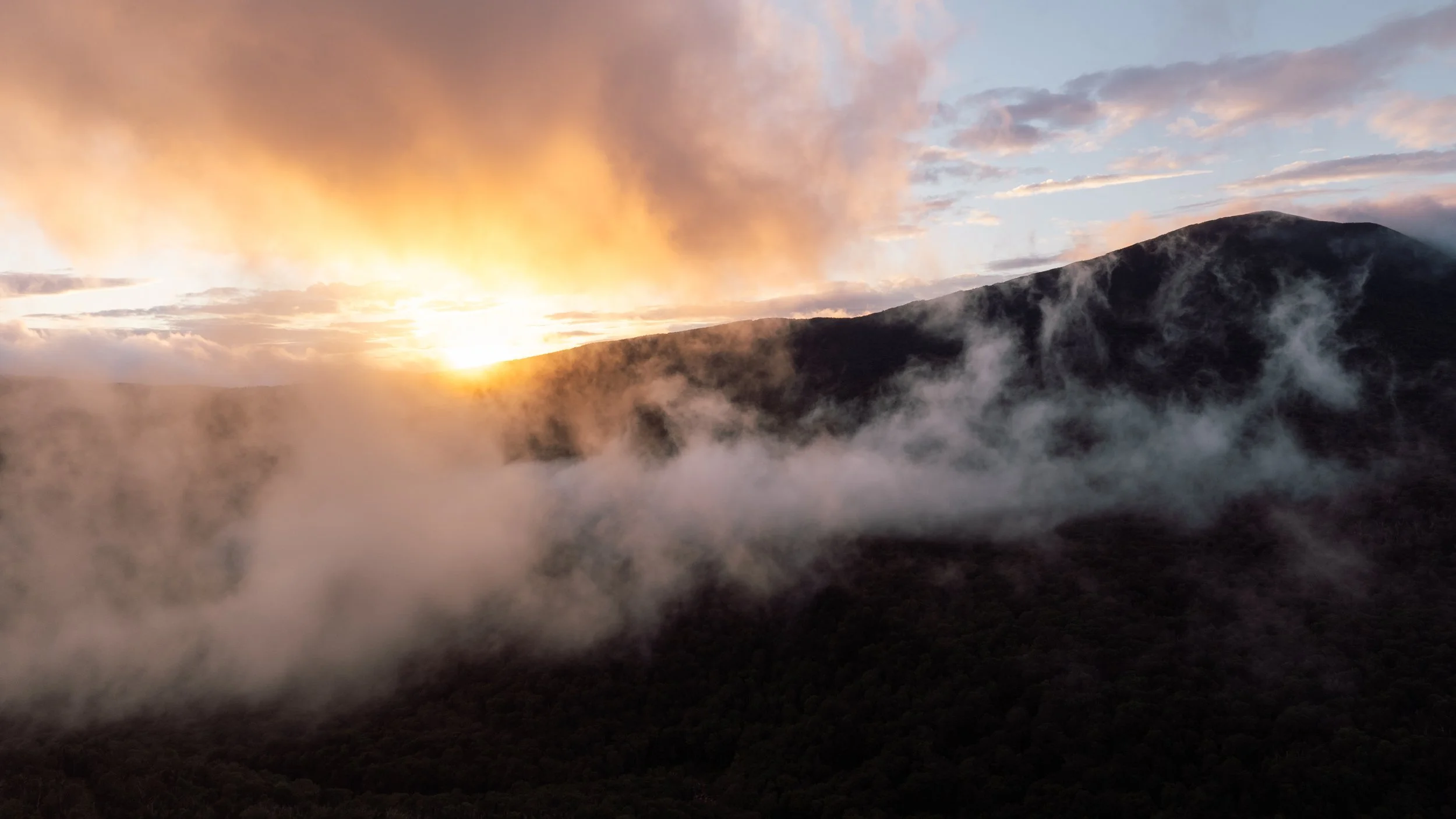 DJI_20250804231225_0015_D 2.JPG