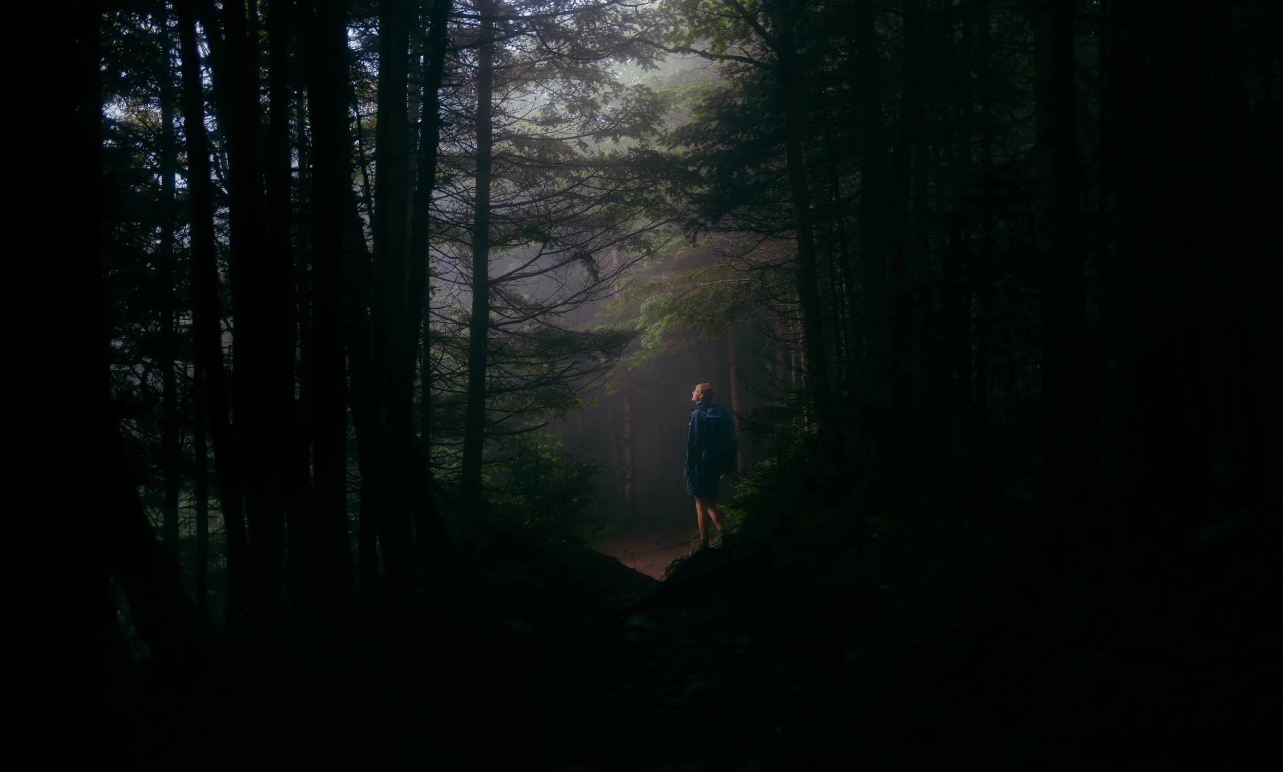 Alpine Steward - Summer 2025