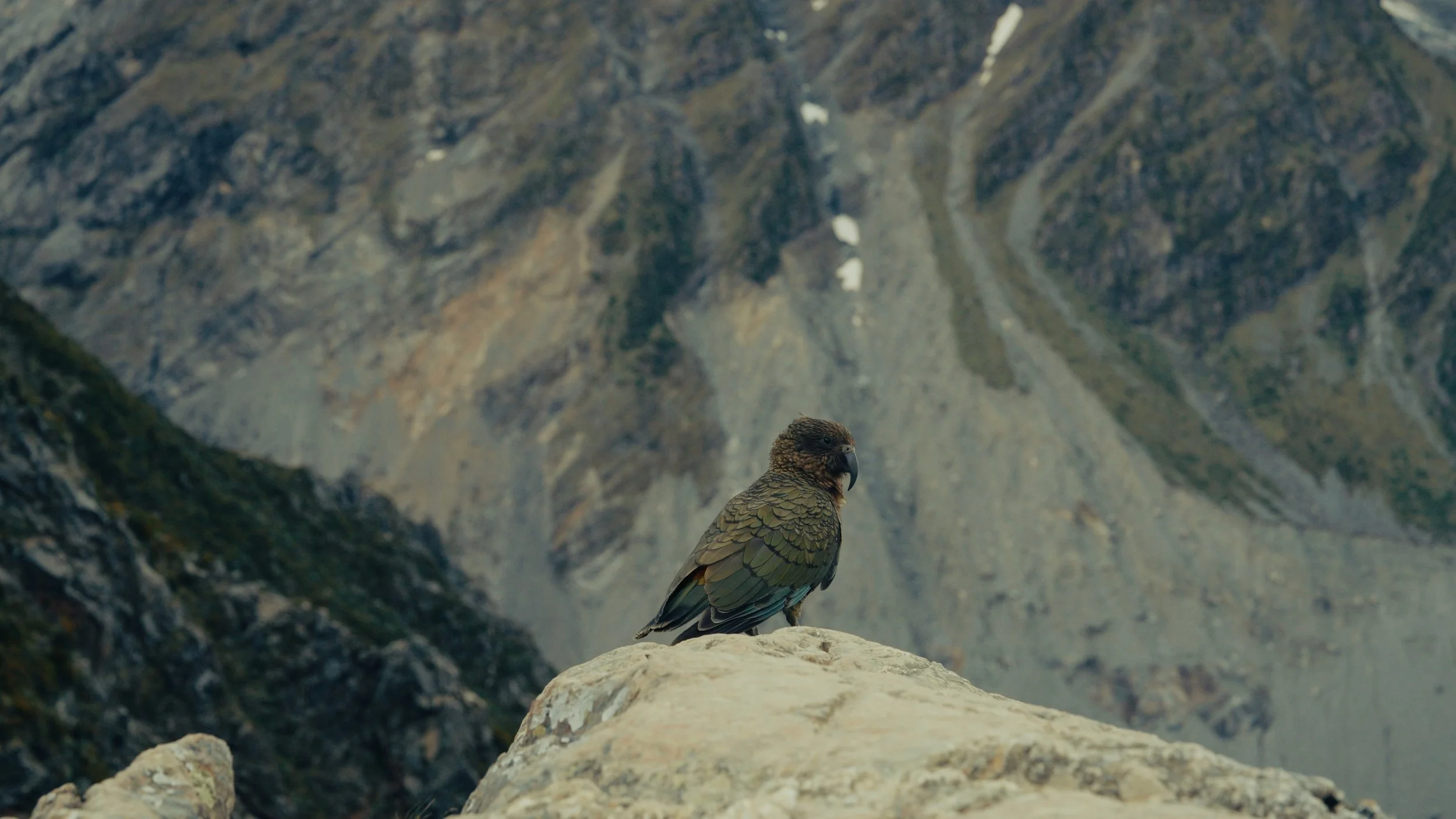 Timeline 1_00_05_47_02.jpg