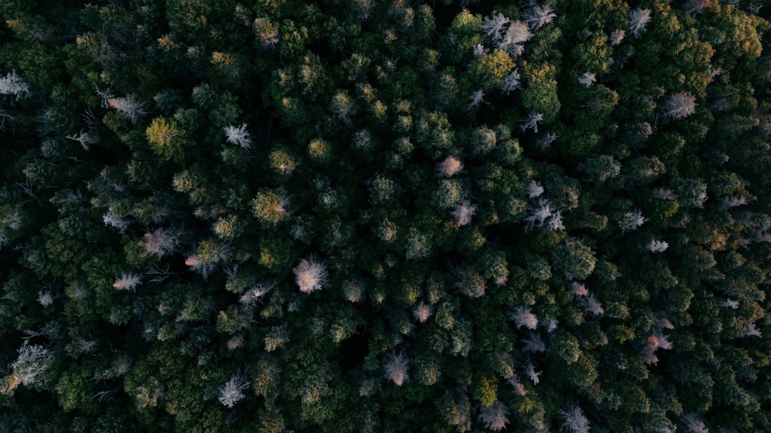 DJI_20250821193145_0036_D 3.jpg