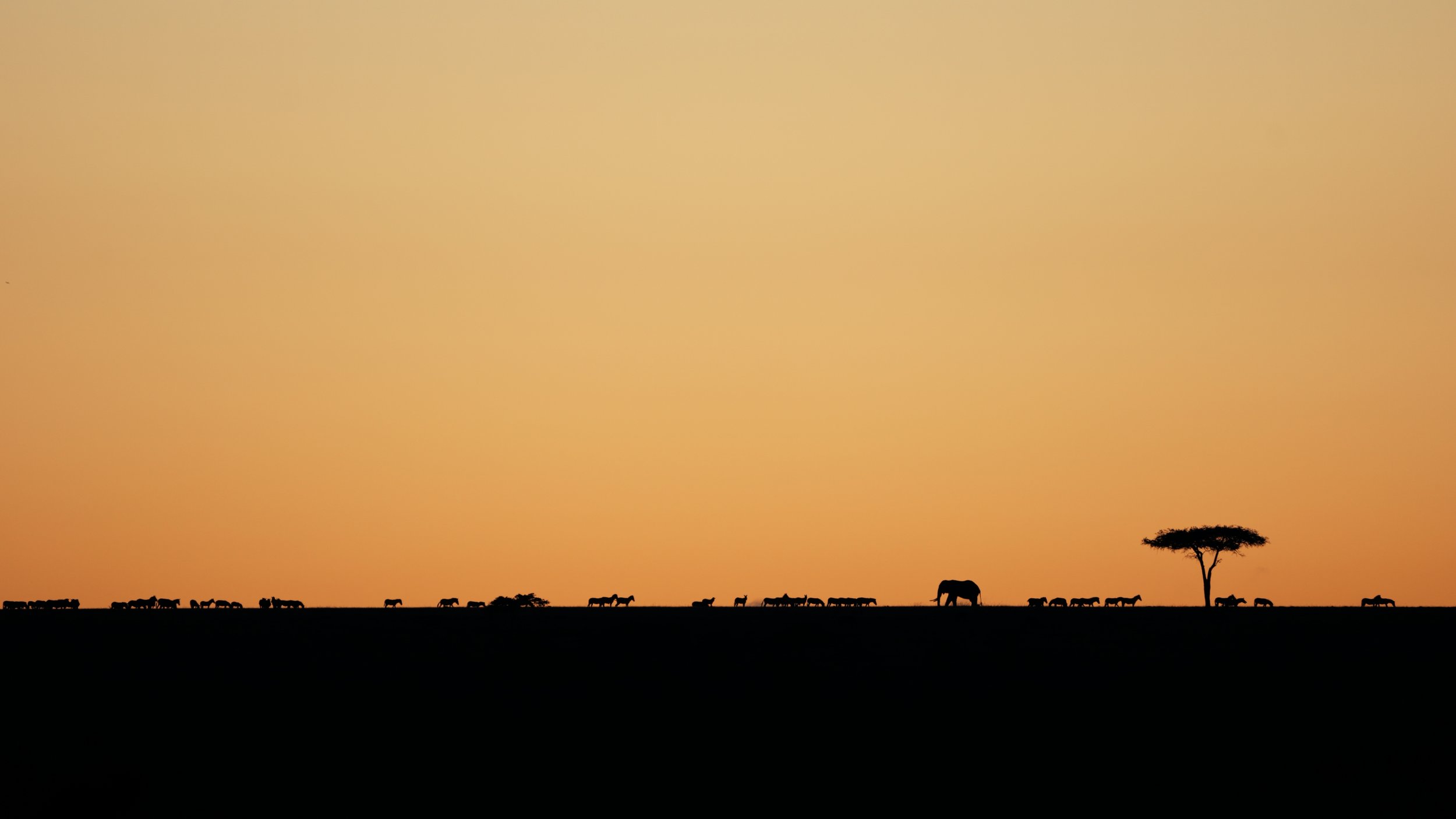 Timeline 1_00_00_09_07.jpg