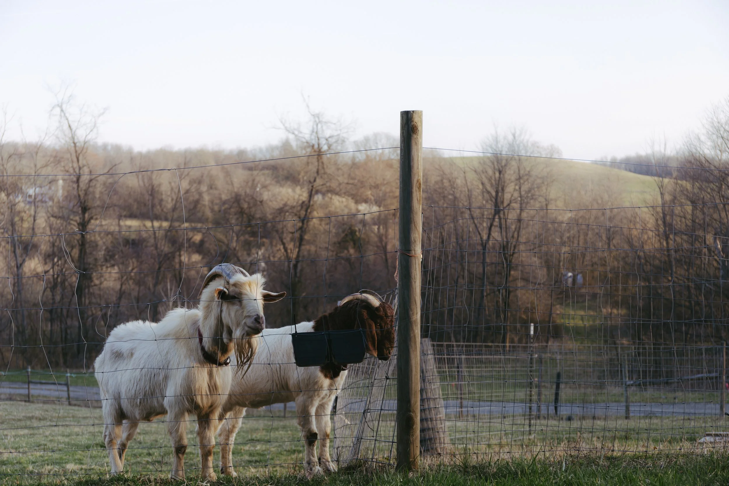 Appalachia Energy Immersion