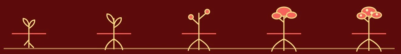 Root Method