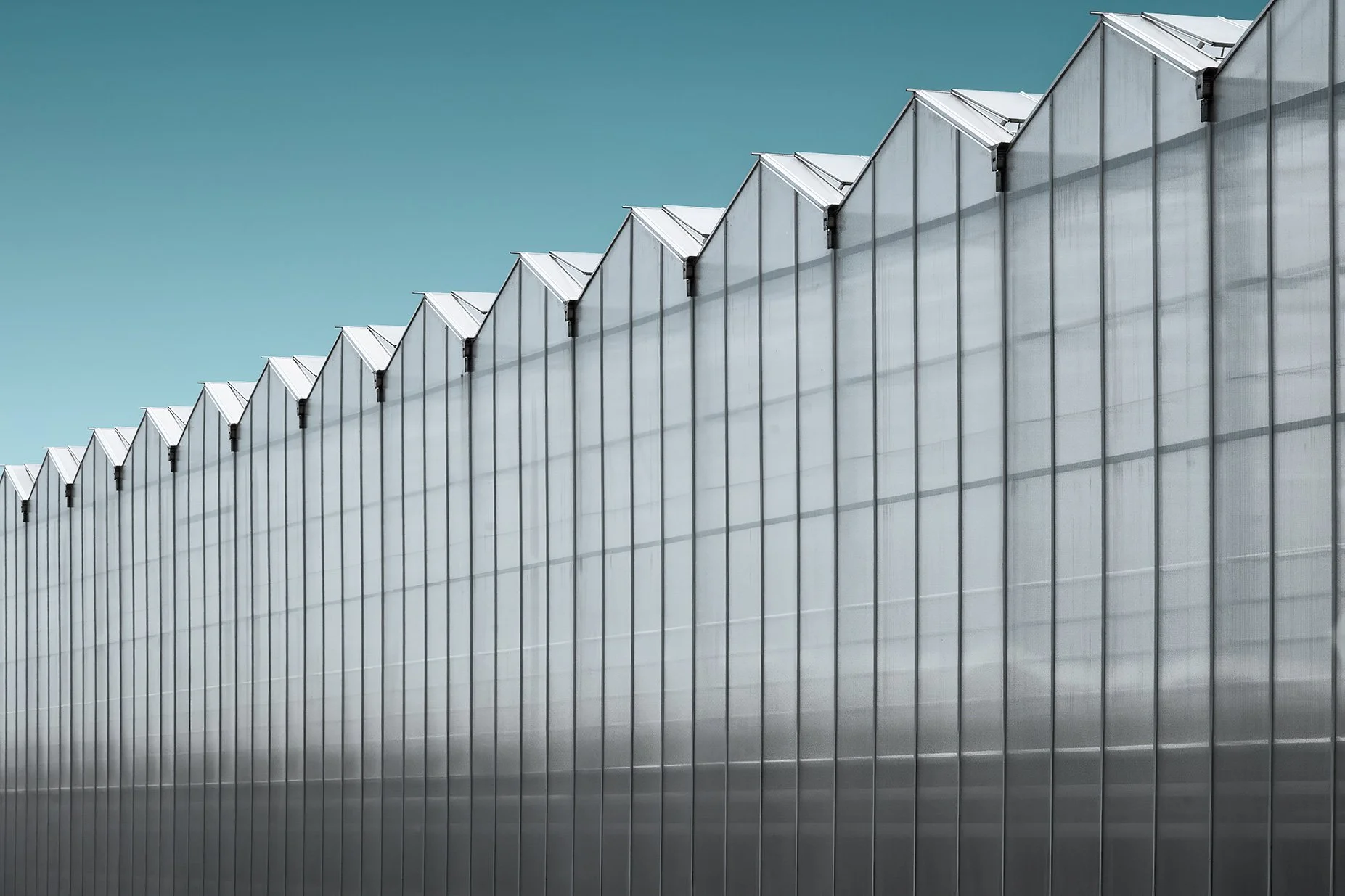 Greenhouse_blog.jpg
