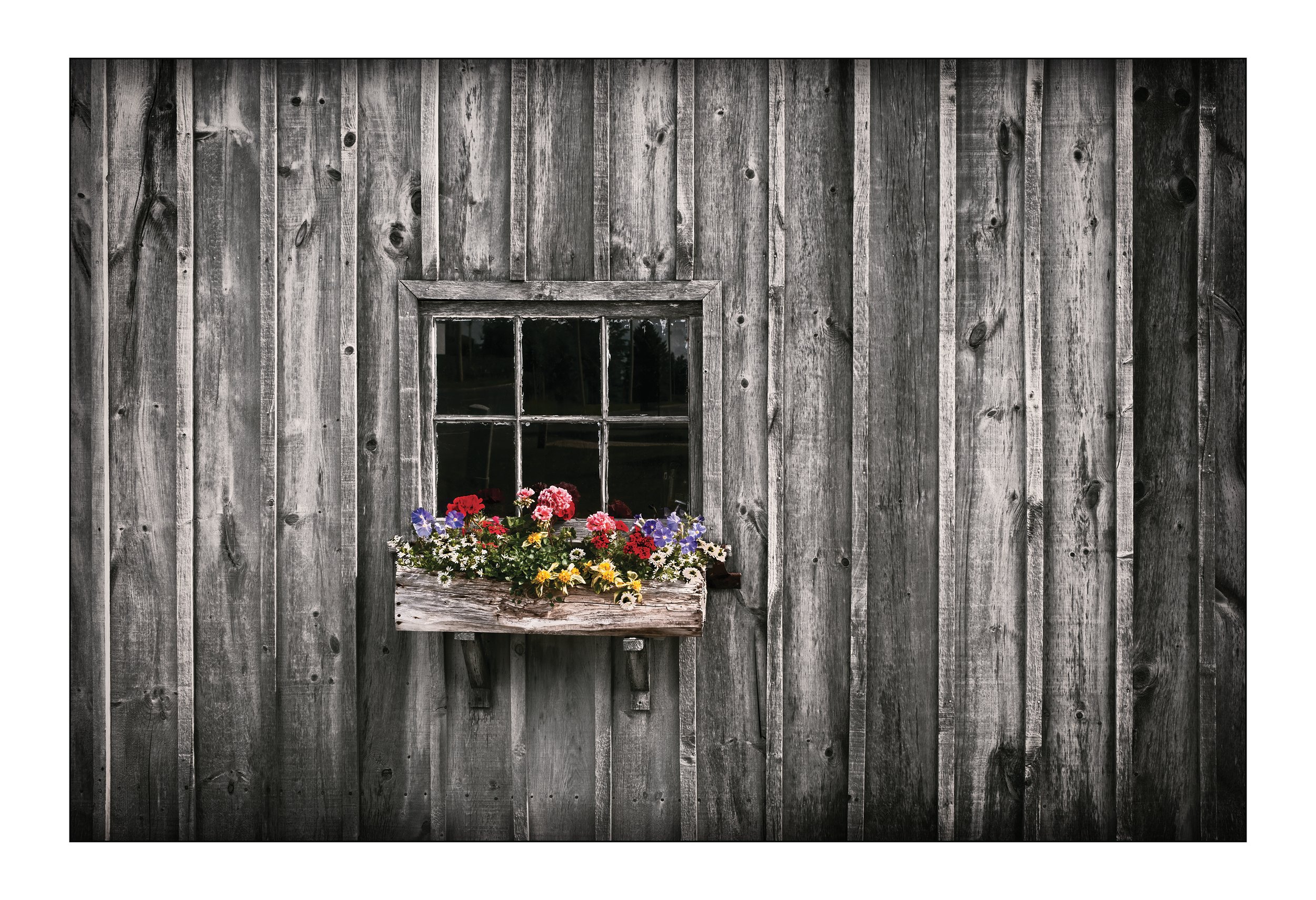 Flower Box