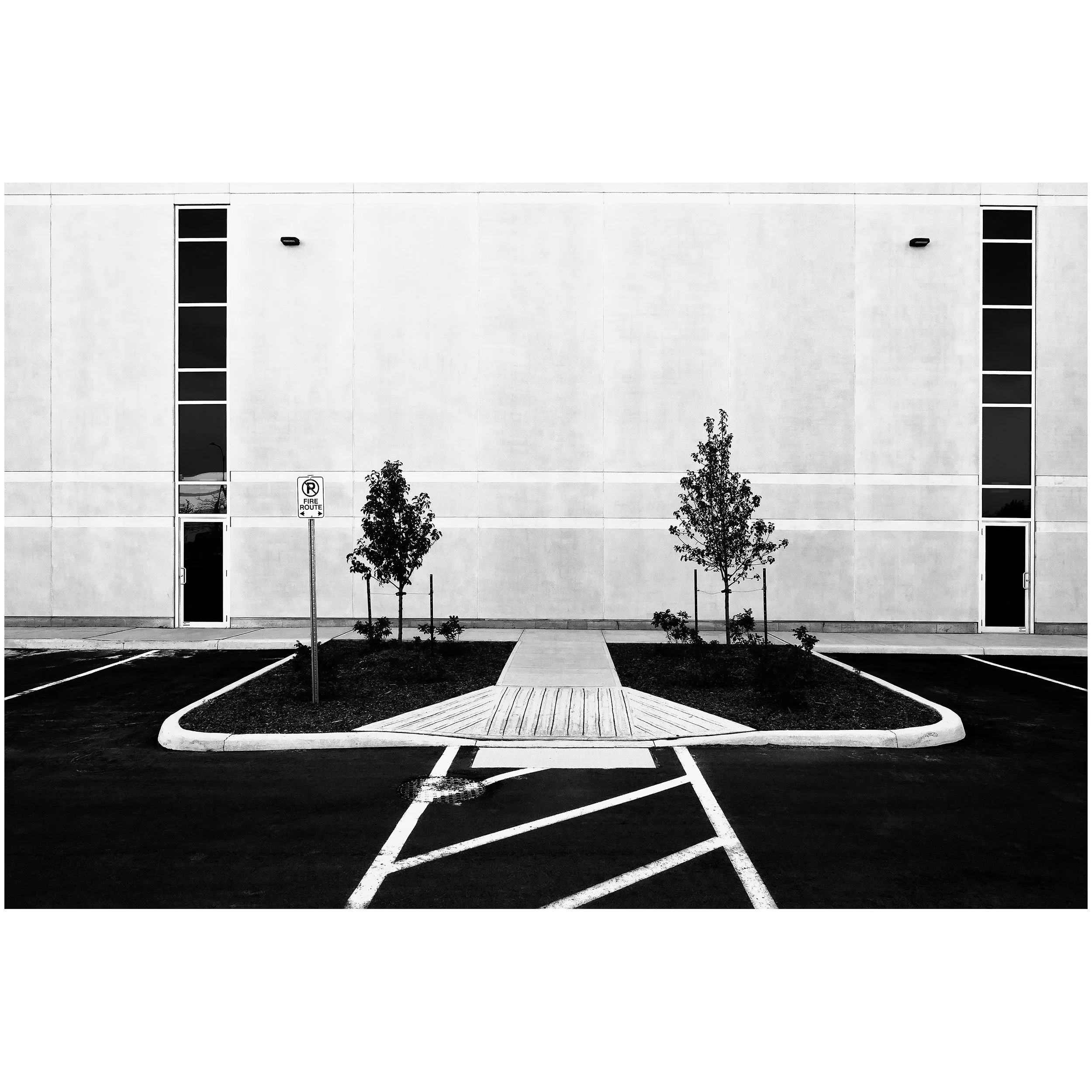 Black and white photo of a modern building's exterior with tall, narrow windows, a sidewalk, two small trees, and parking lines on the ground.