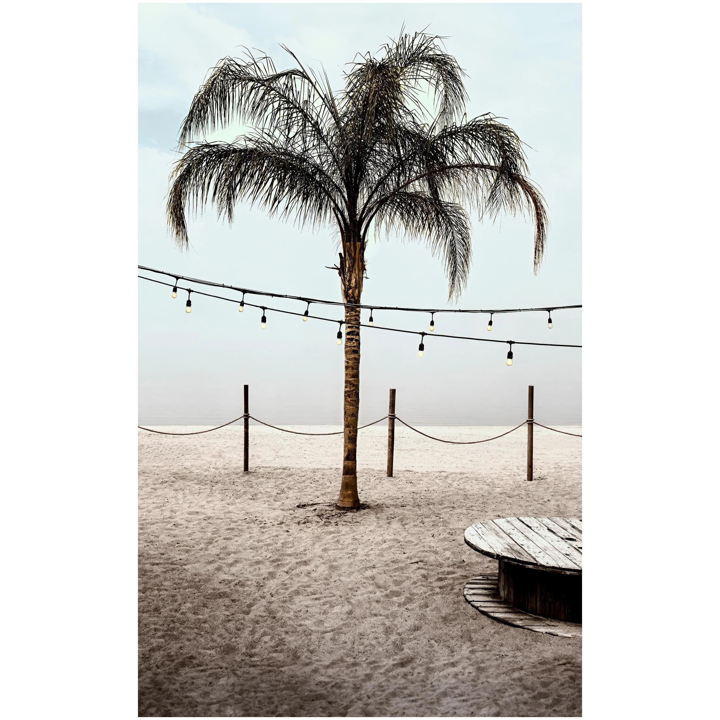 A single palm tree on a sandy beach with a string of hanging lights overhead and a wooden structure in the foreground.
