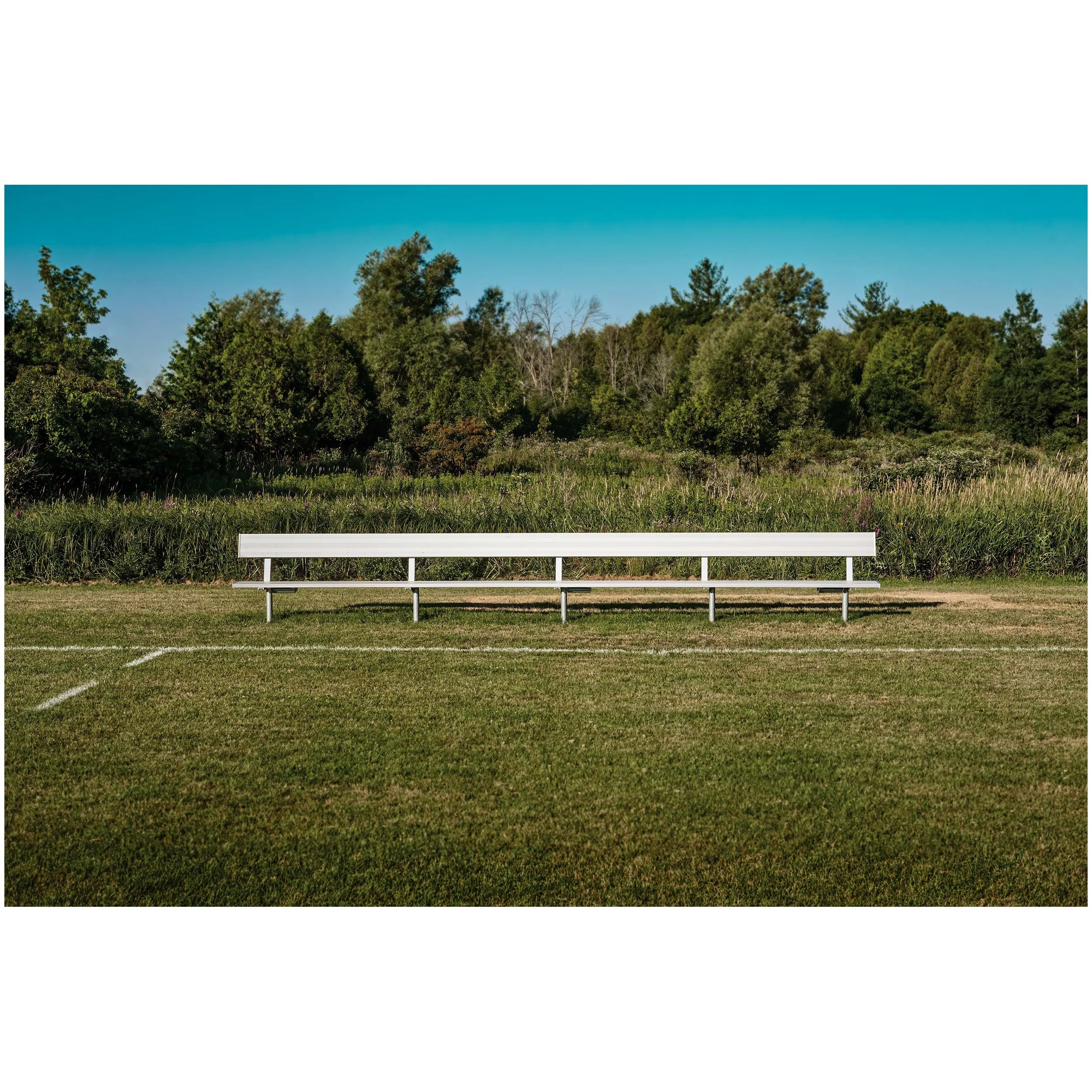 A bench in a grassy field with a backdrop of dense trees under a clear blue sky.