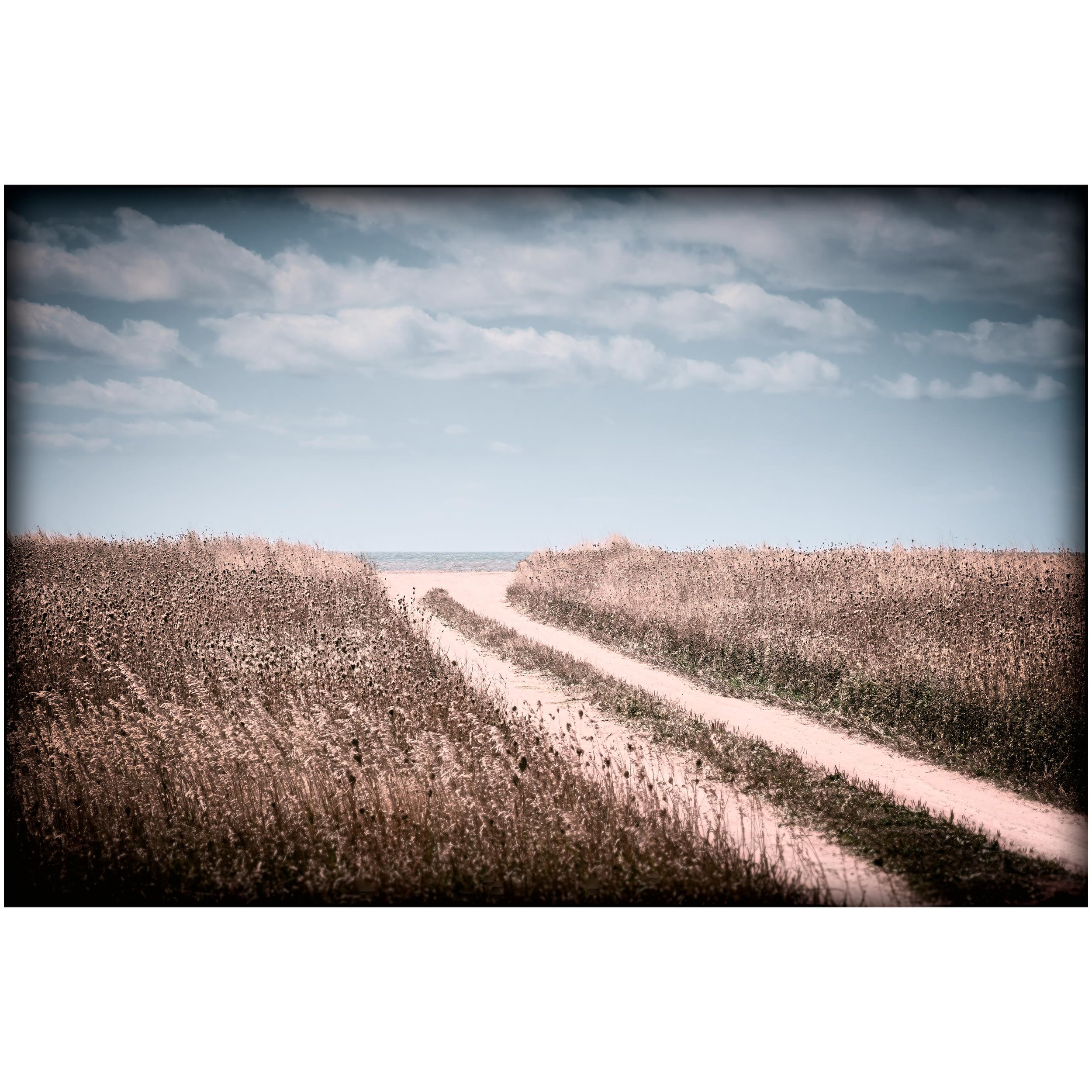 A narrow sand path curves through dry coastal grass toward the beach, with open water and soft clouds on the horizon.