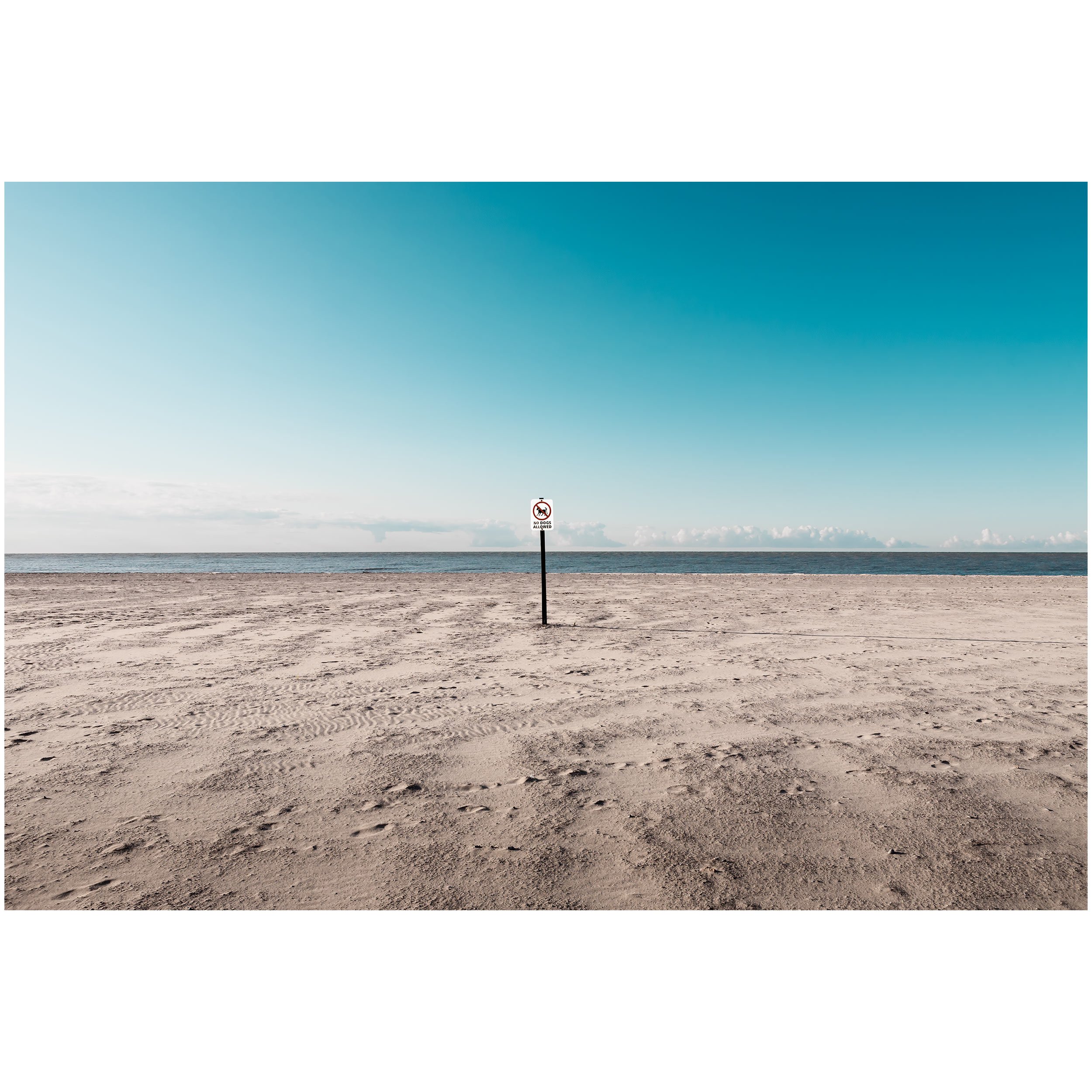 Empty beach with sand, calm ocean, blue sky with some clouds, and a 'No Dogs Allowed' sign in the foreground.