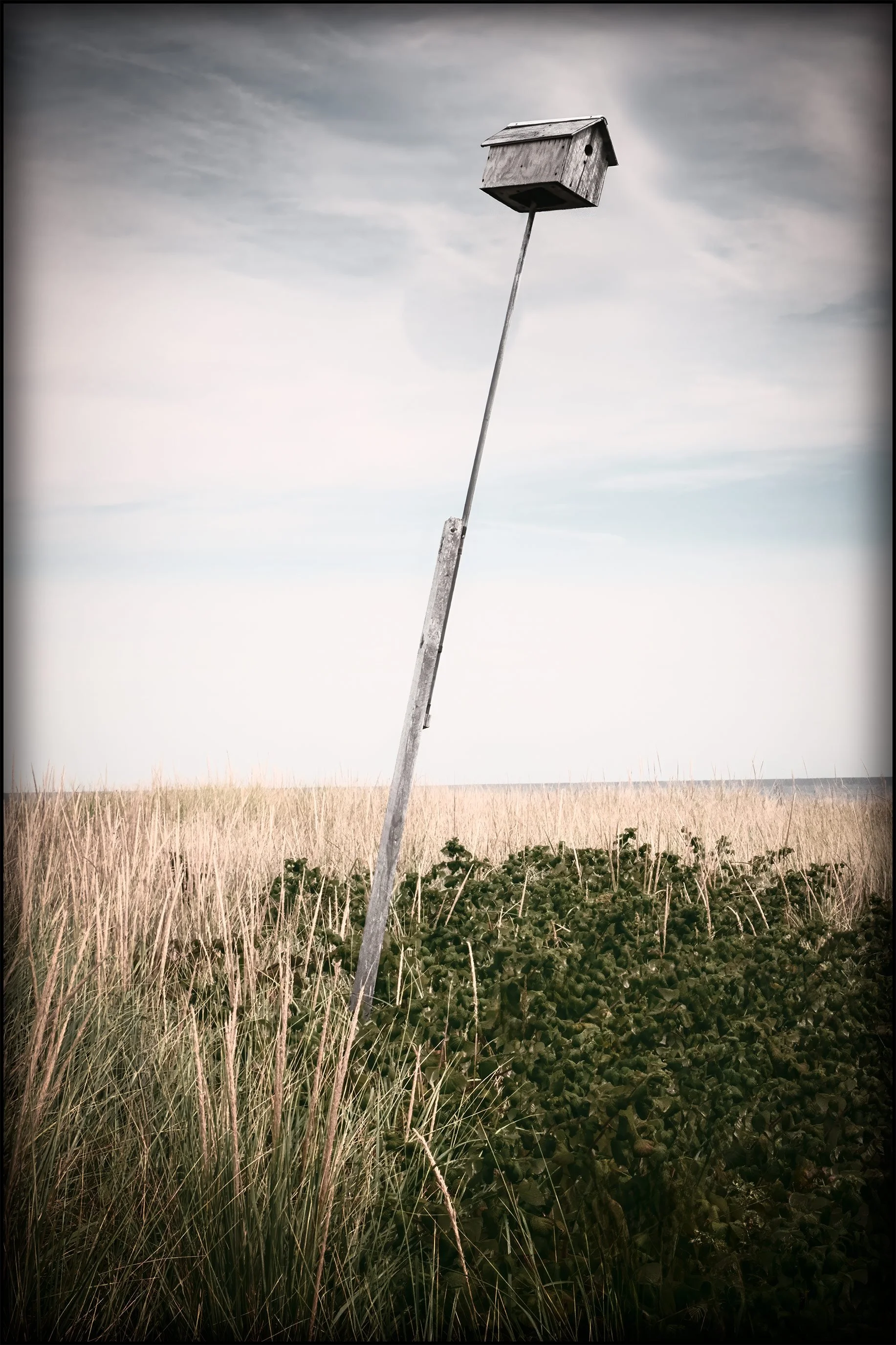 Weathered wooden birdhouse on a tall leaning pole above grasses, with a pale sky and quiet shoreline in the distance.
