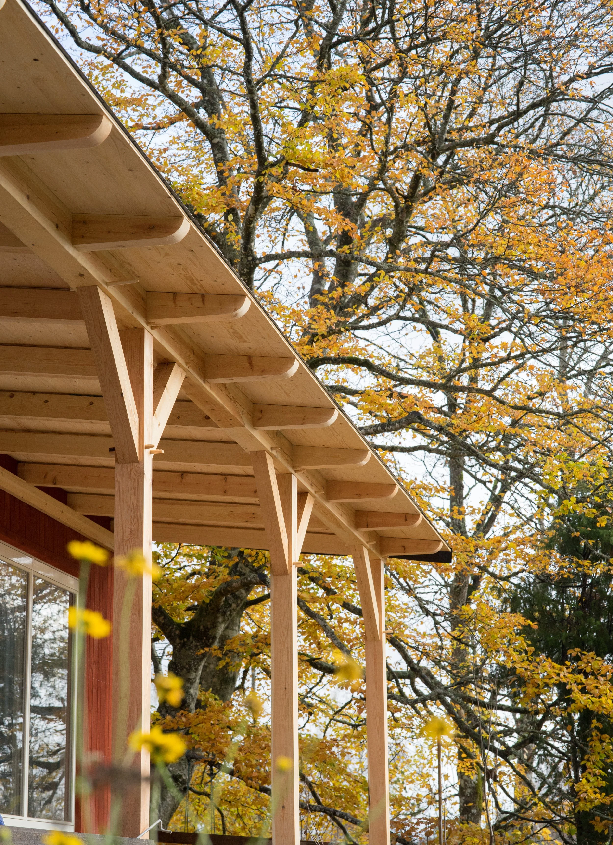 Beam And Brace Framing Projects3.jpg