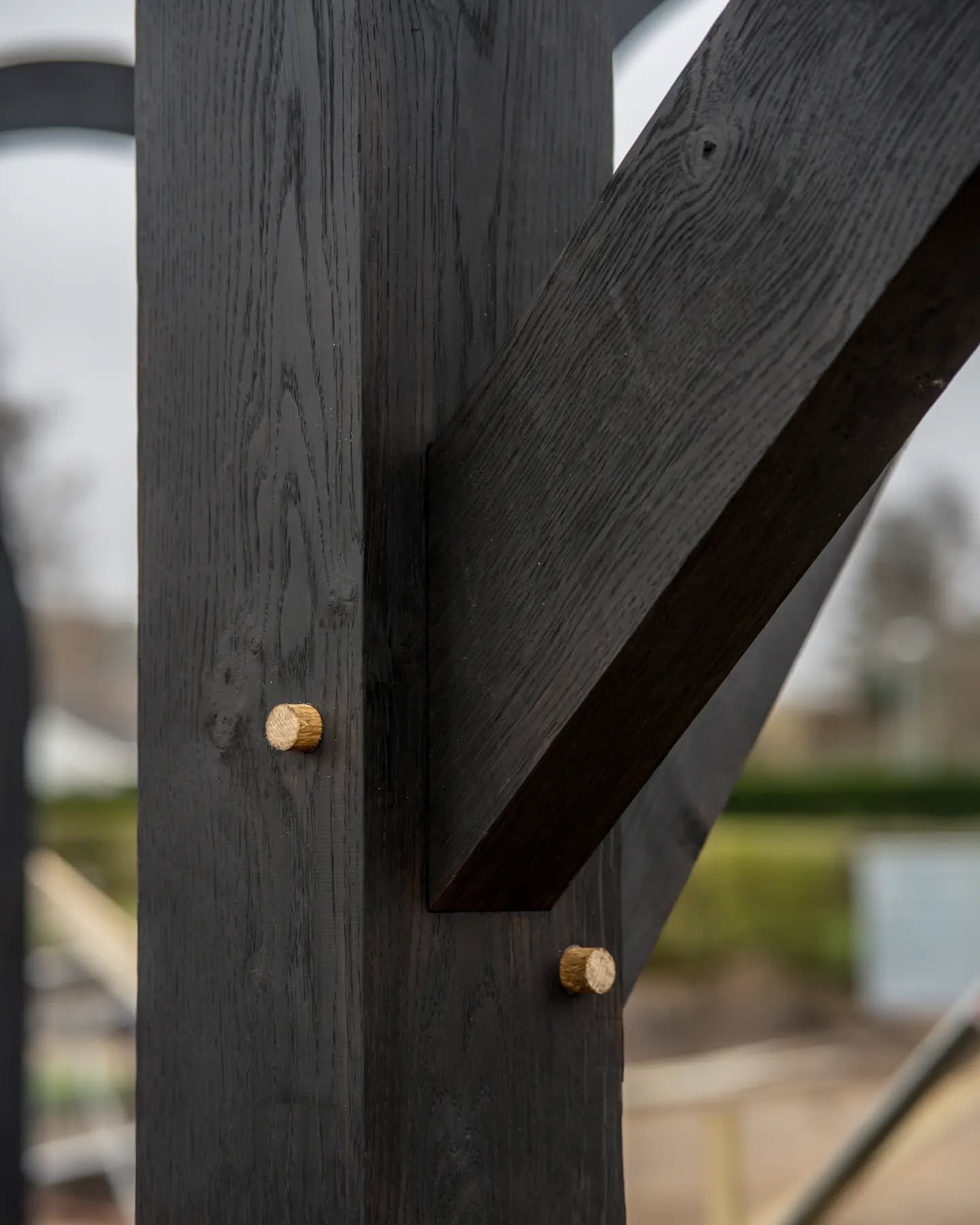 Close-up of a black wooden structure with two small wooden pegs attached to it, outdoors with a blurred background.