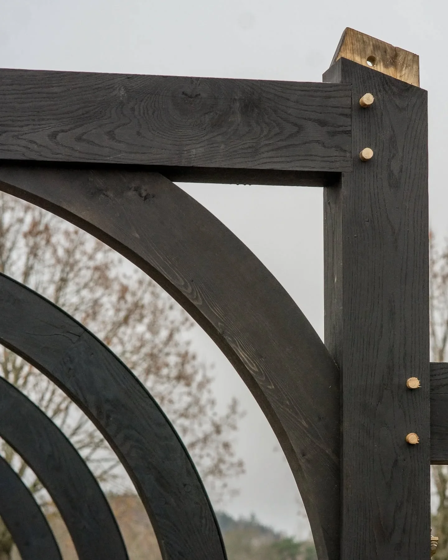 Close-up of a black wooden structure, possibly a playground or park equipment, with metal bolts, against a background of cloudy sky and leafless trees.