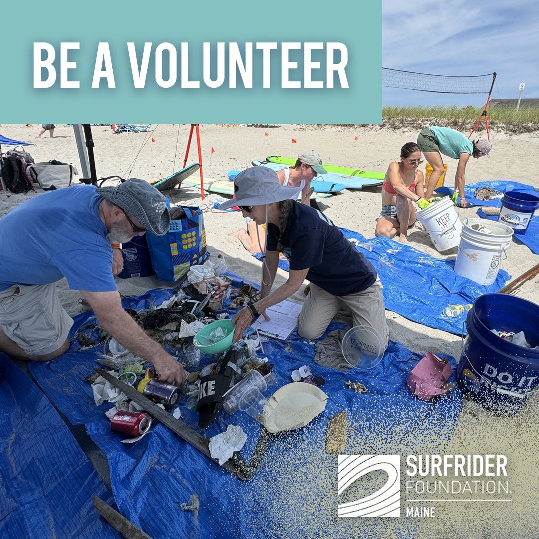 Volunteer promotion for social
