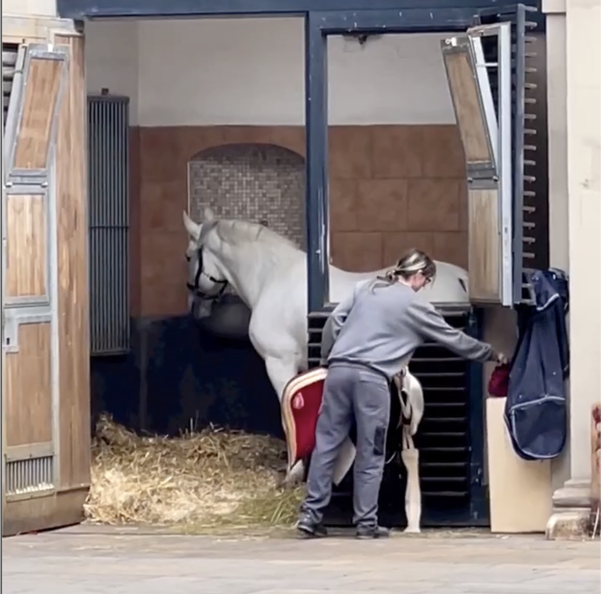 Melodies of the Danube: A Memorable River Cruise with Ama Waterways