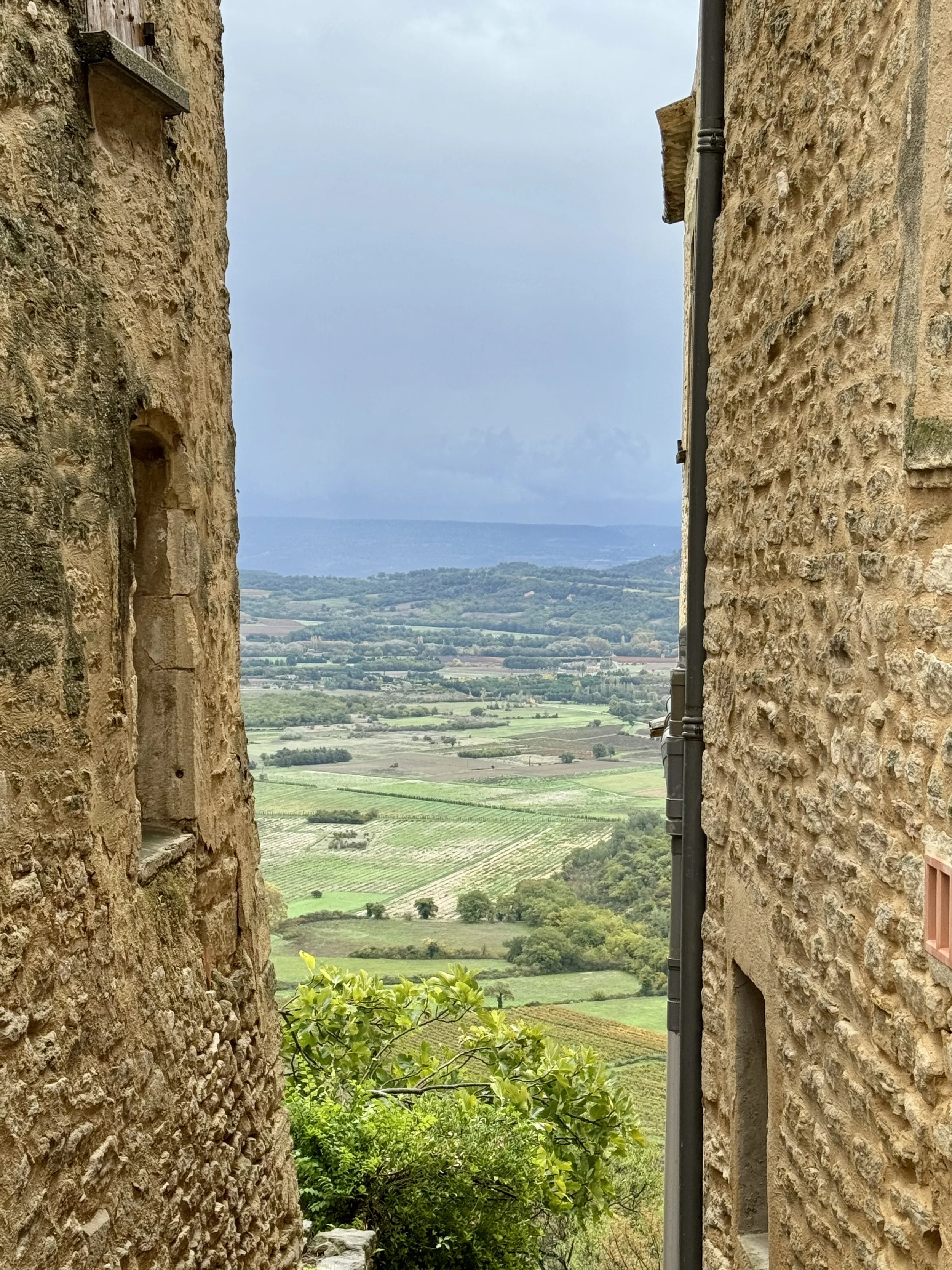 IMG_9440.jpeg
