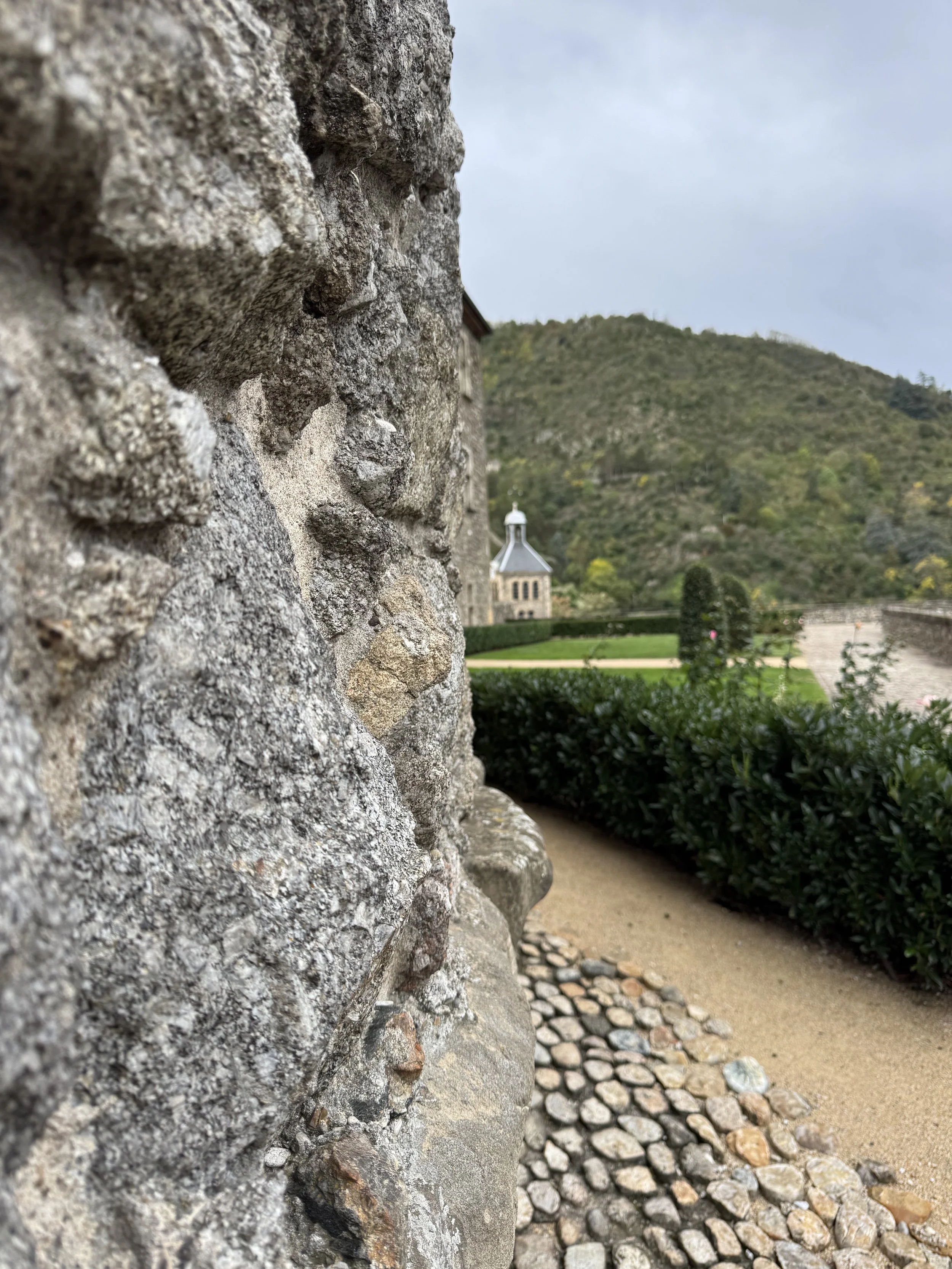 IMG_9371.jpeg