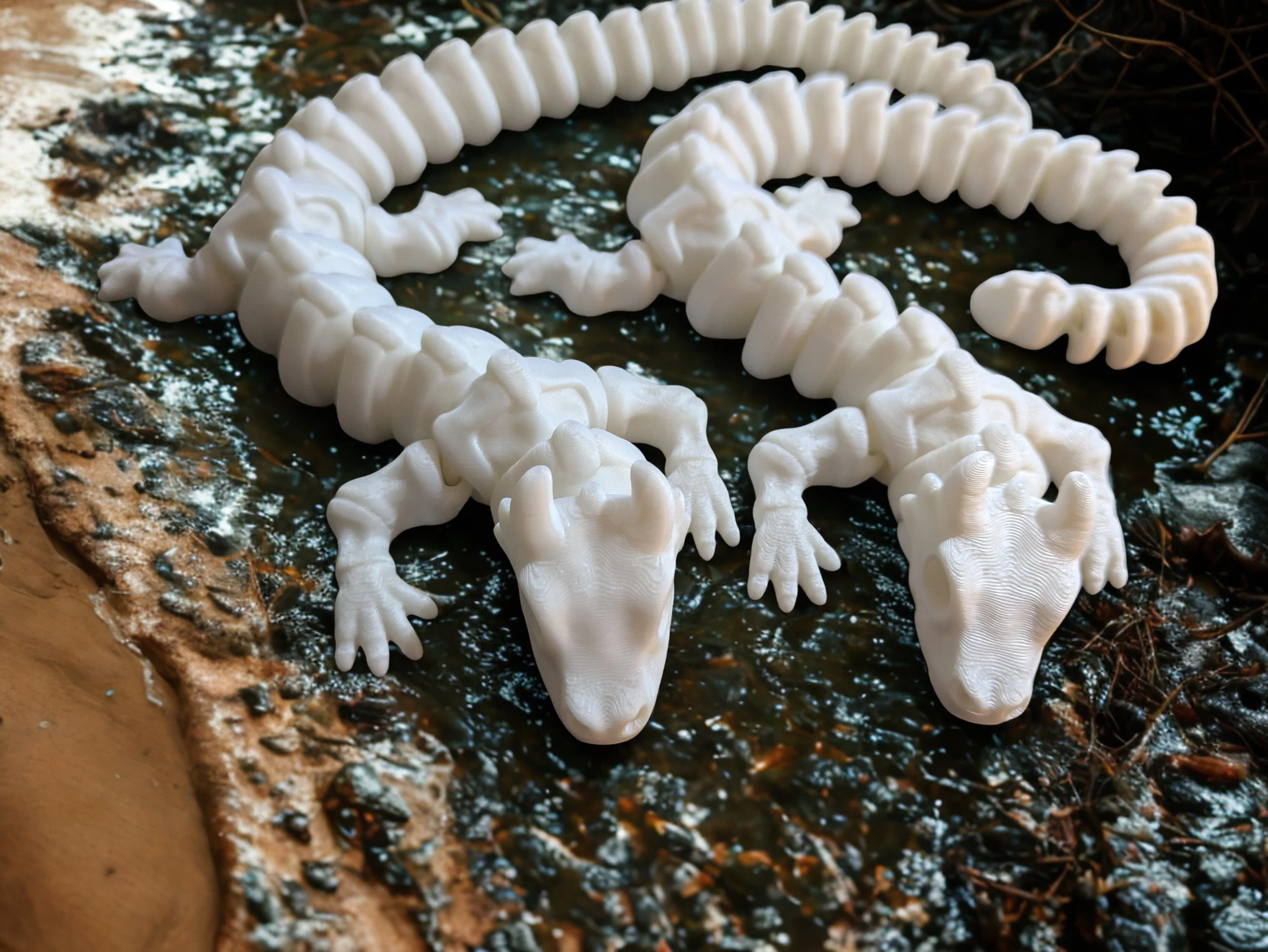 PXL_20250805_180349519 - Edited.jpg