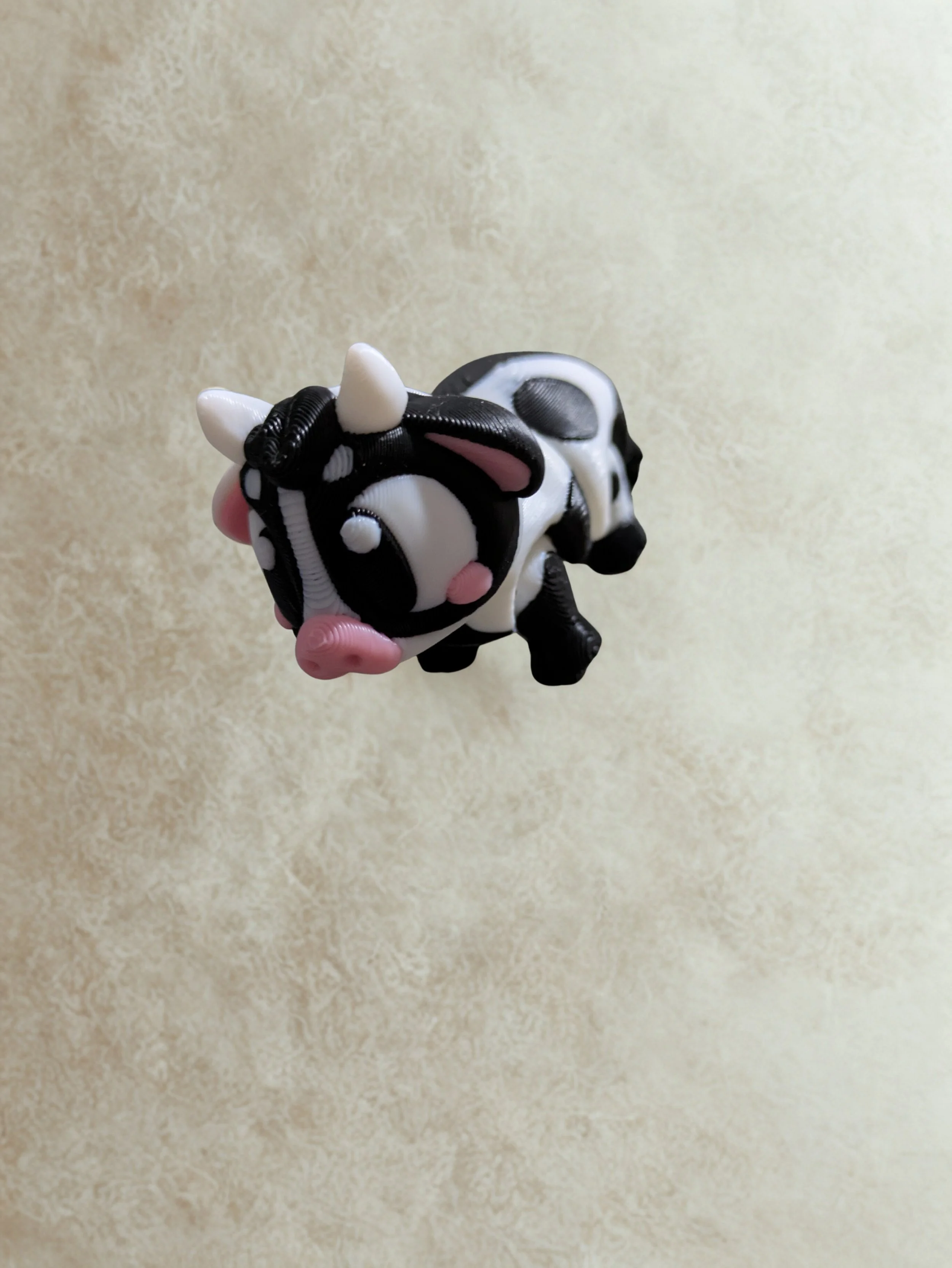 black cow.jpg