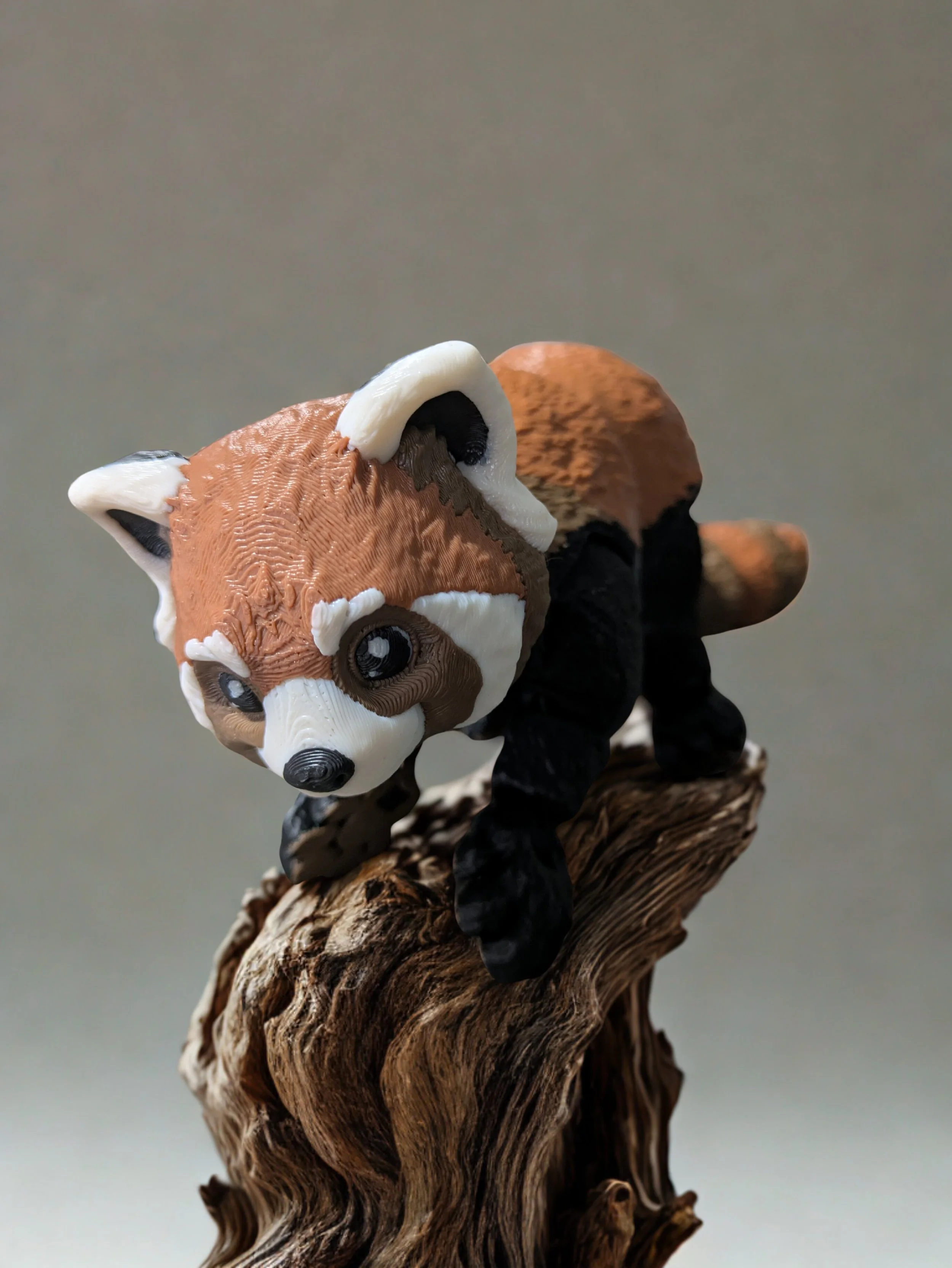Red Panda