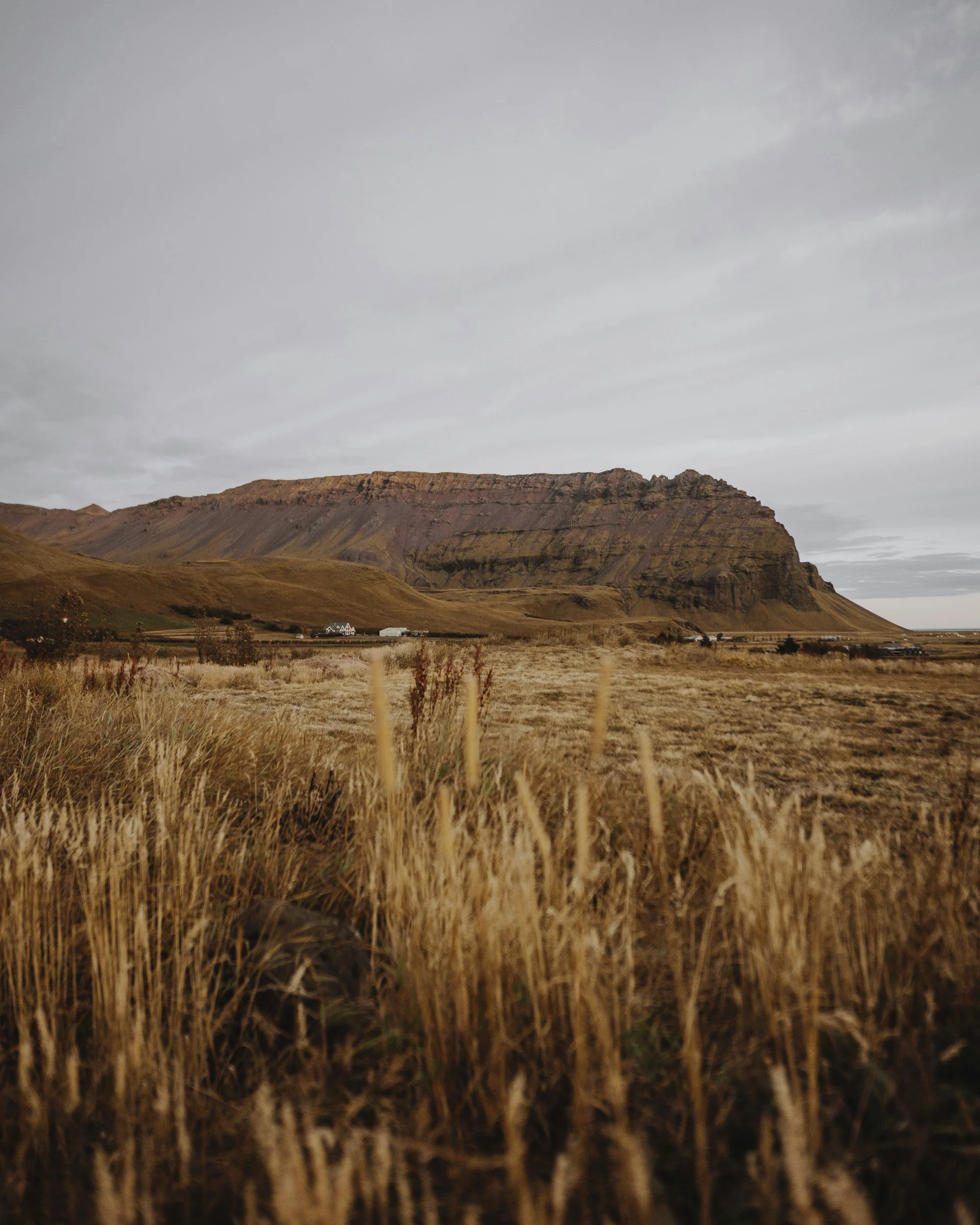 A vast landscape with golden, dry grass in the foreground, rolling hills and a mountain range with layered reddish-brown and purple hues in the background, and a cloudy, gray sky above.