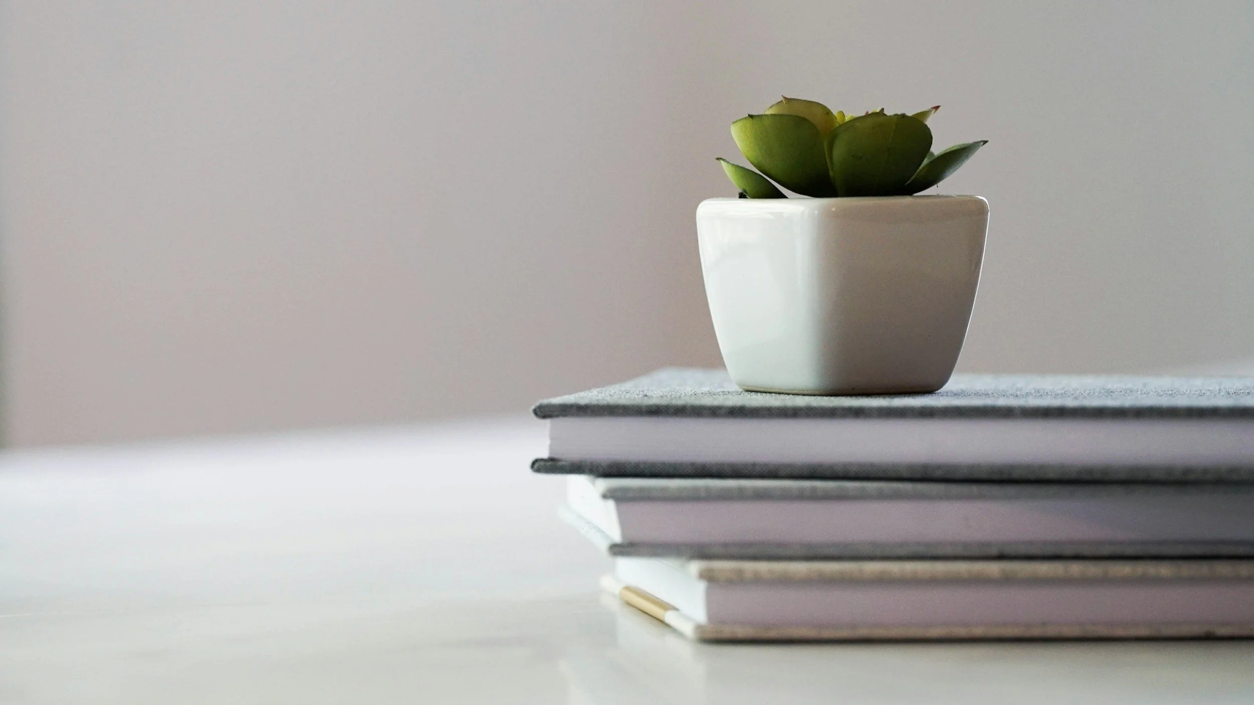A small potted succulent plant placed on top of a stack of books on a white surface against a neutral background.