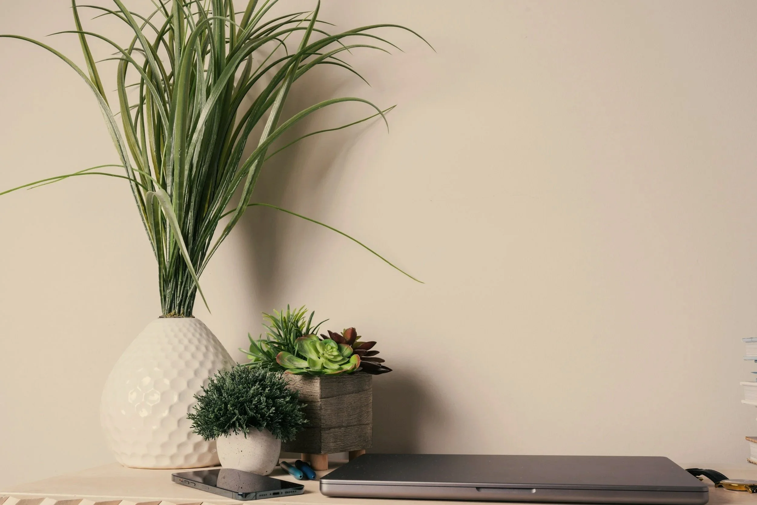 A desk with decorative plants, a closed laptop, a smartphone, and pens set on top, against a plain off-white wall.