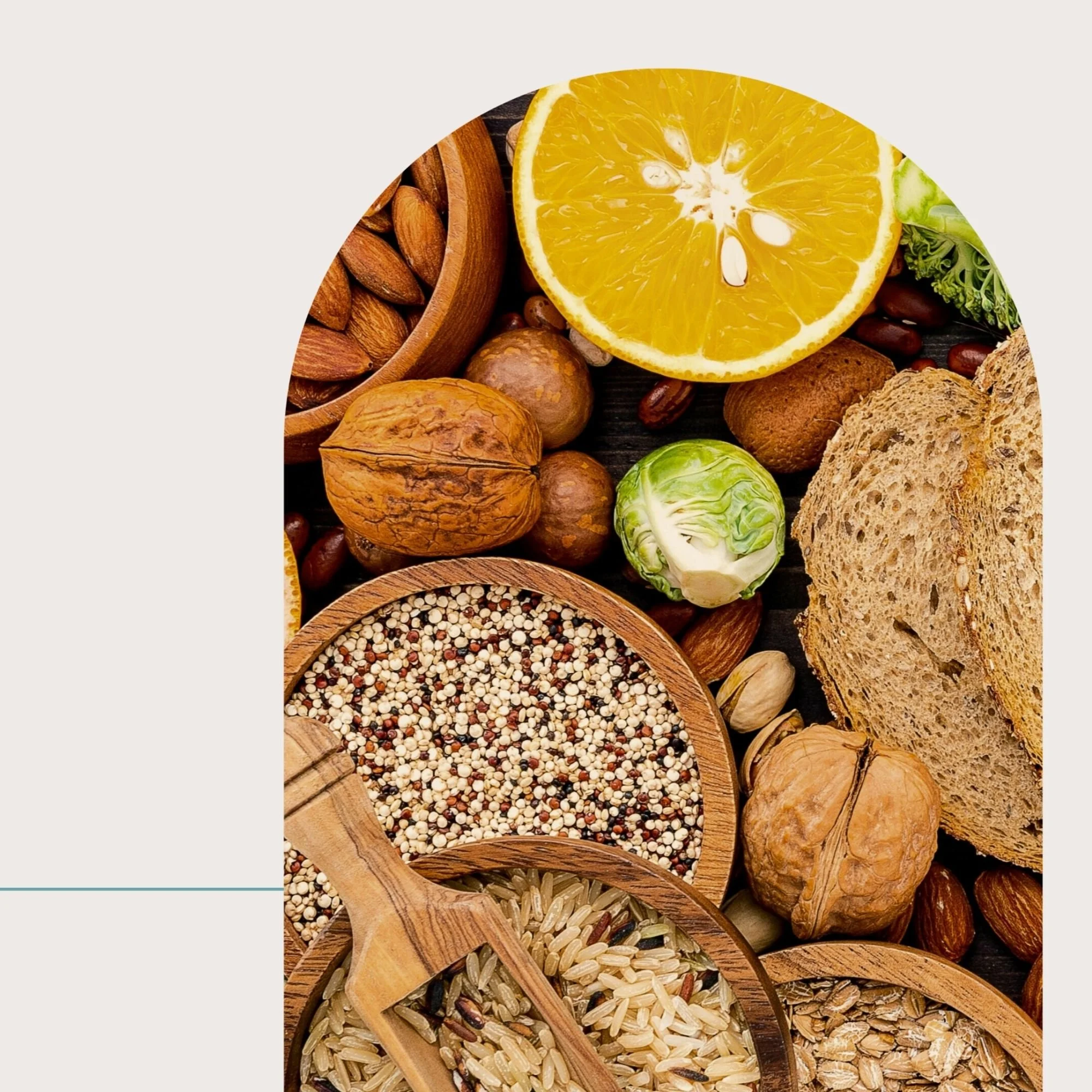 Fiber Guide (Members Only)