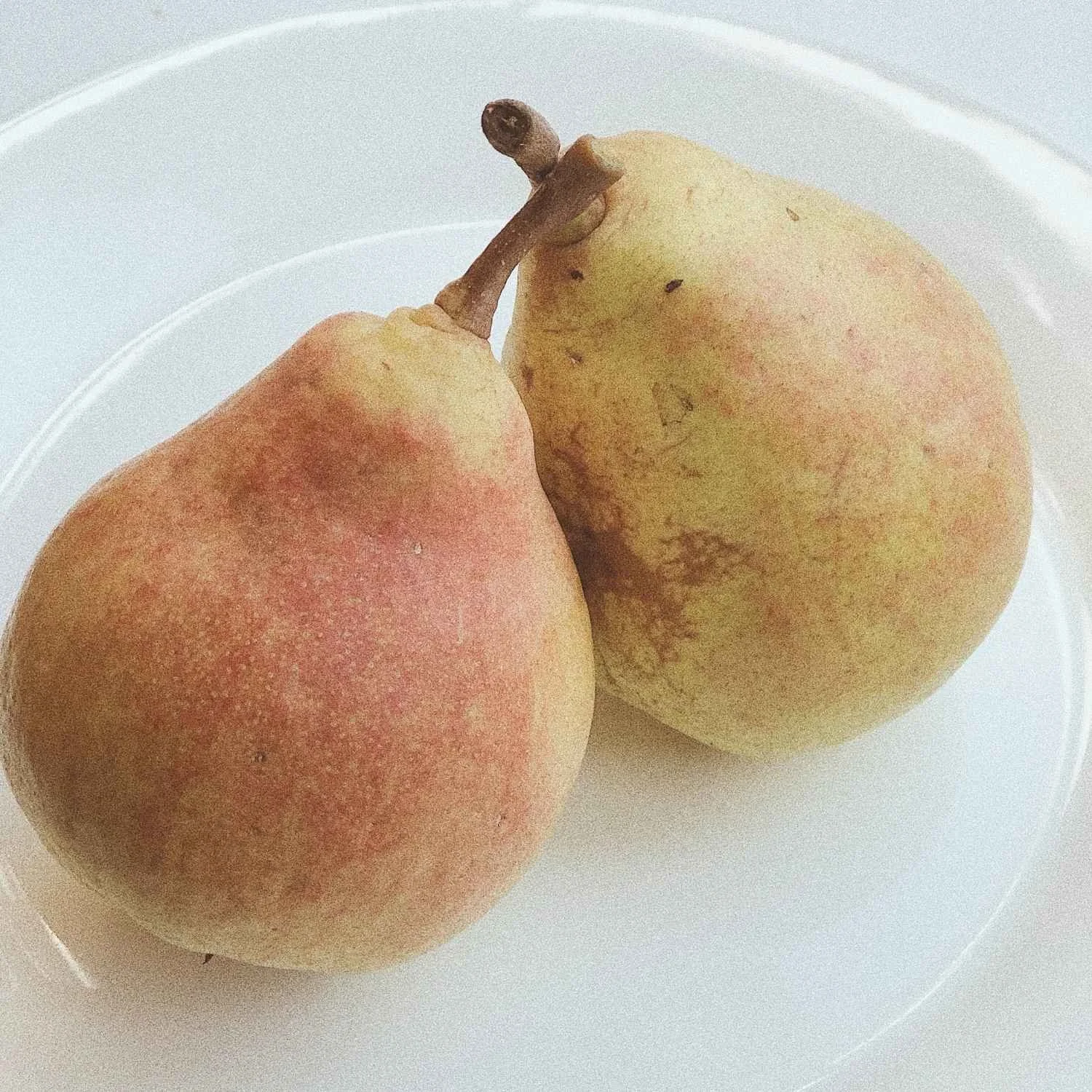 Two pears, one with a red blush and the other with a yellowish-green skin, resting on a white plate.