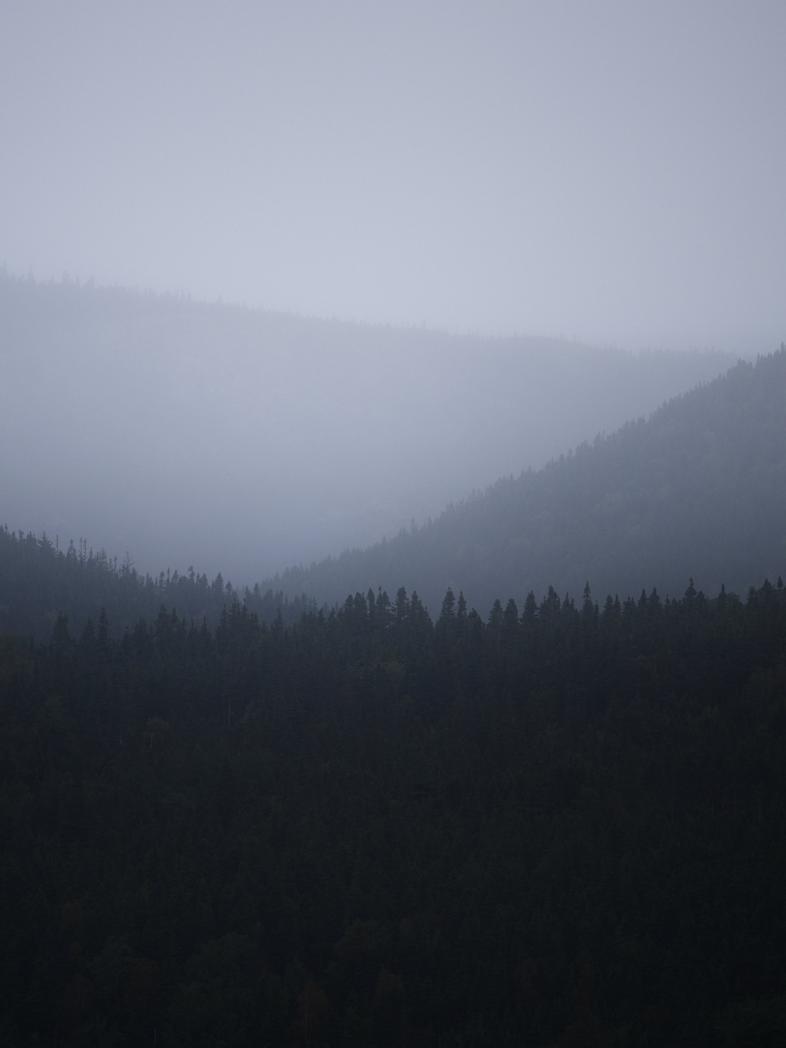 CAP_3615 FINAL 1.jpg