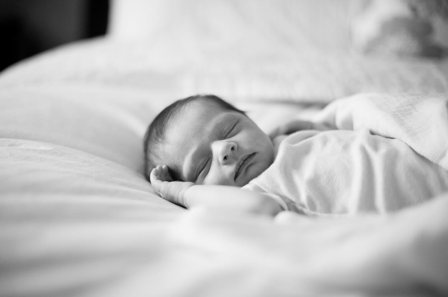The newborn stage &ldquo;look&rdquo; lasts about four weeks before they start growing and changing rapidly. What a beautiful moment to capture. 
#newbornphotoshoot 
#newbornsnuggles 
_________________________________

L&rsquo;apparence caract&eacute;
