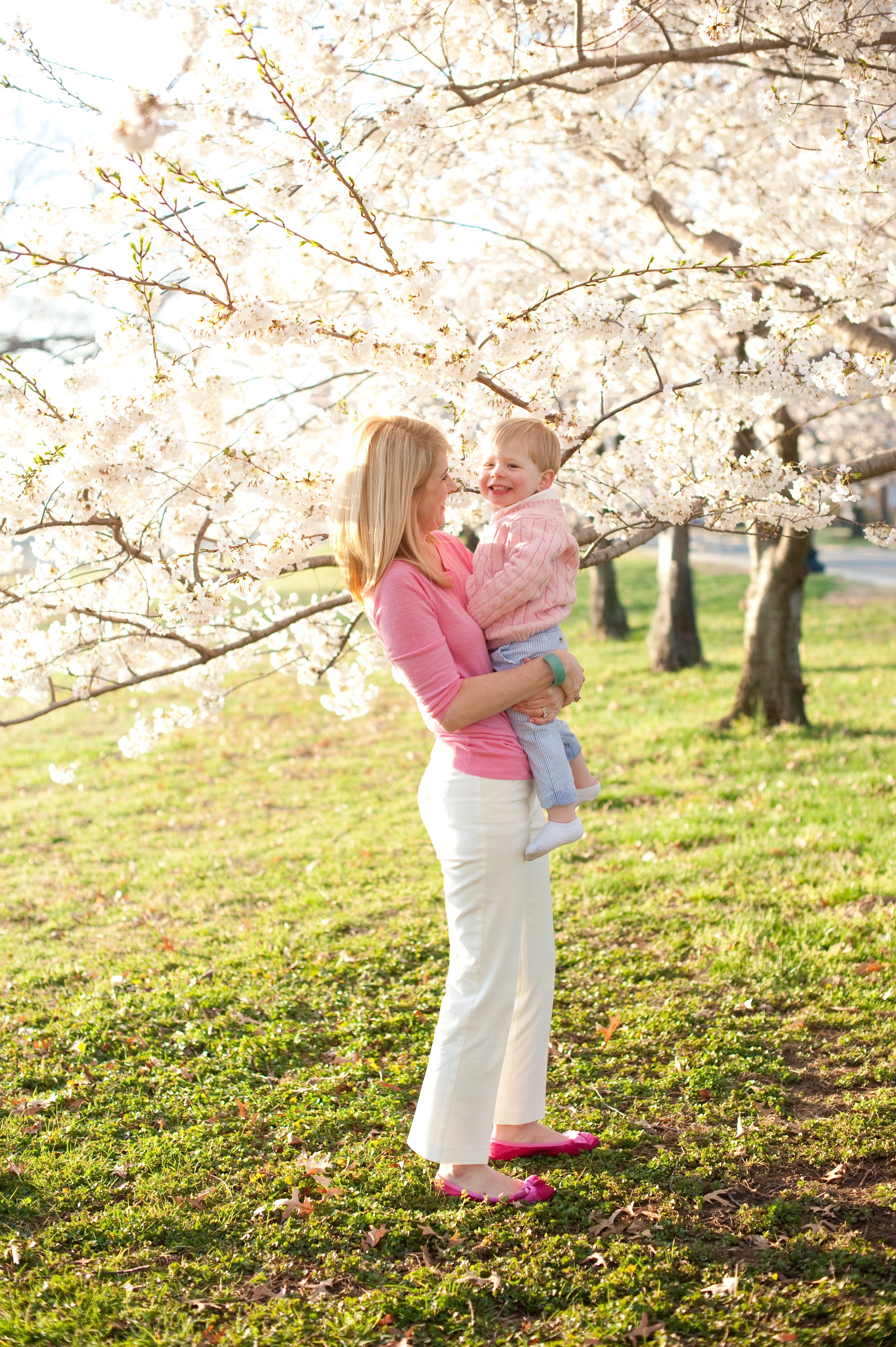 A woman holding a young girl under flowering cherry blossom trees in a park during spring.