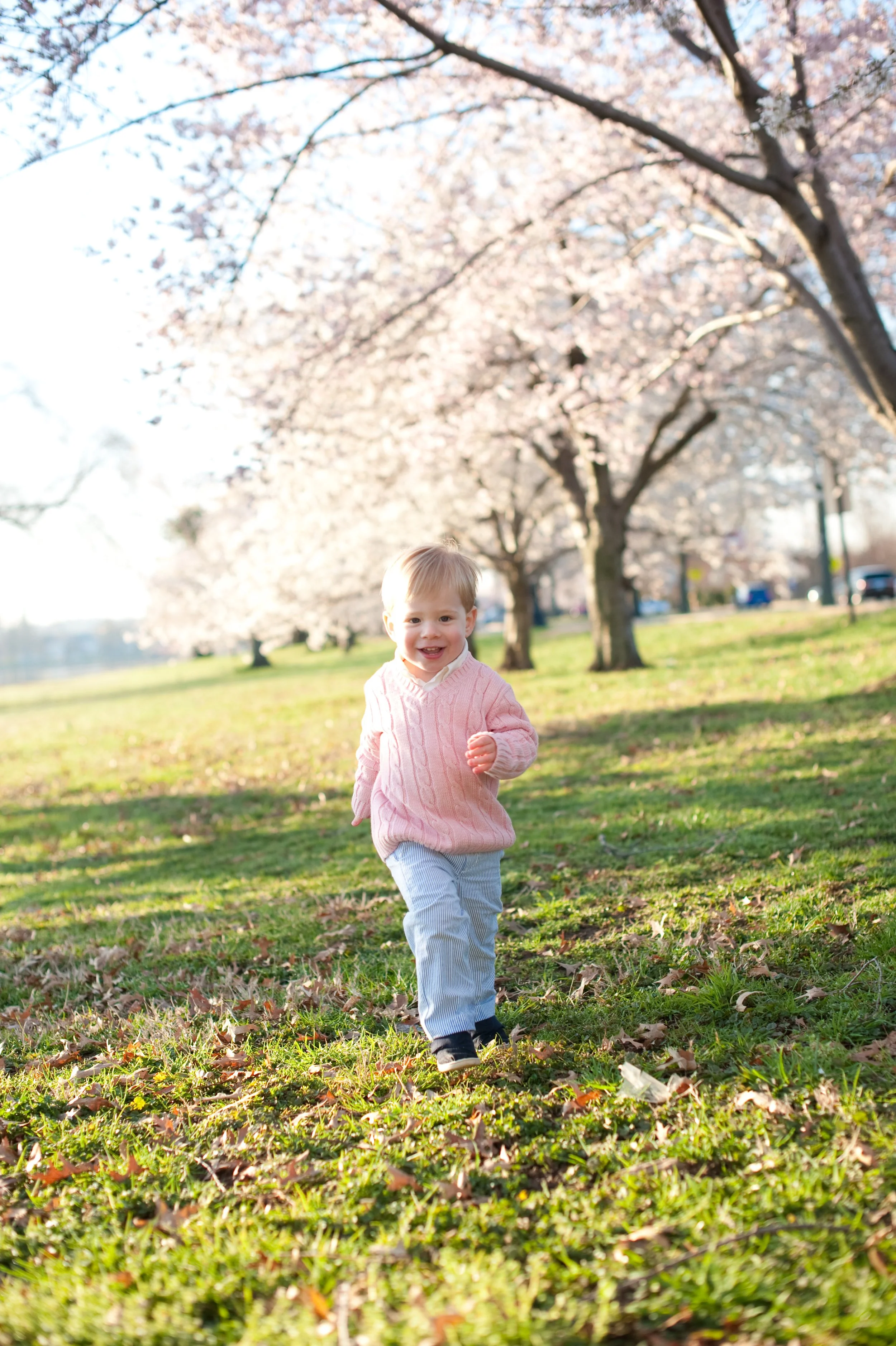 A young child running on grass in a park with cherry blossom trees in full bloom in the background, during daytime.