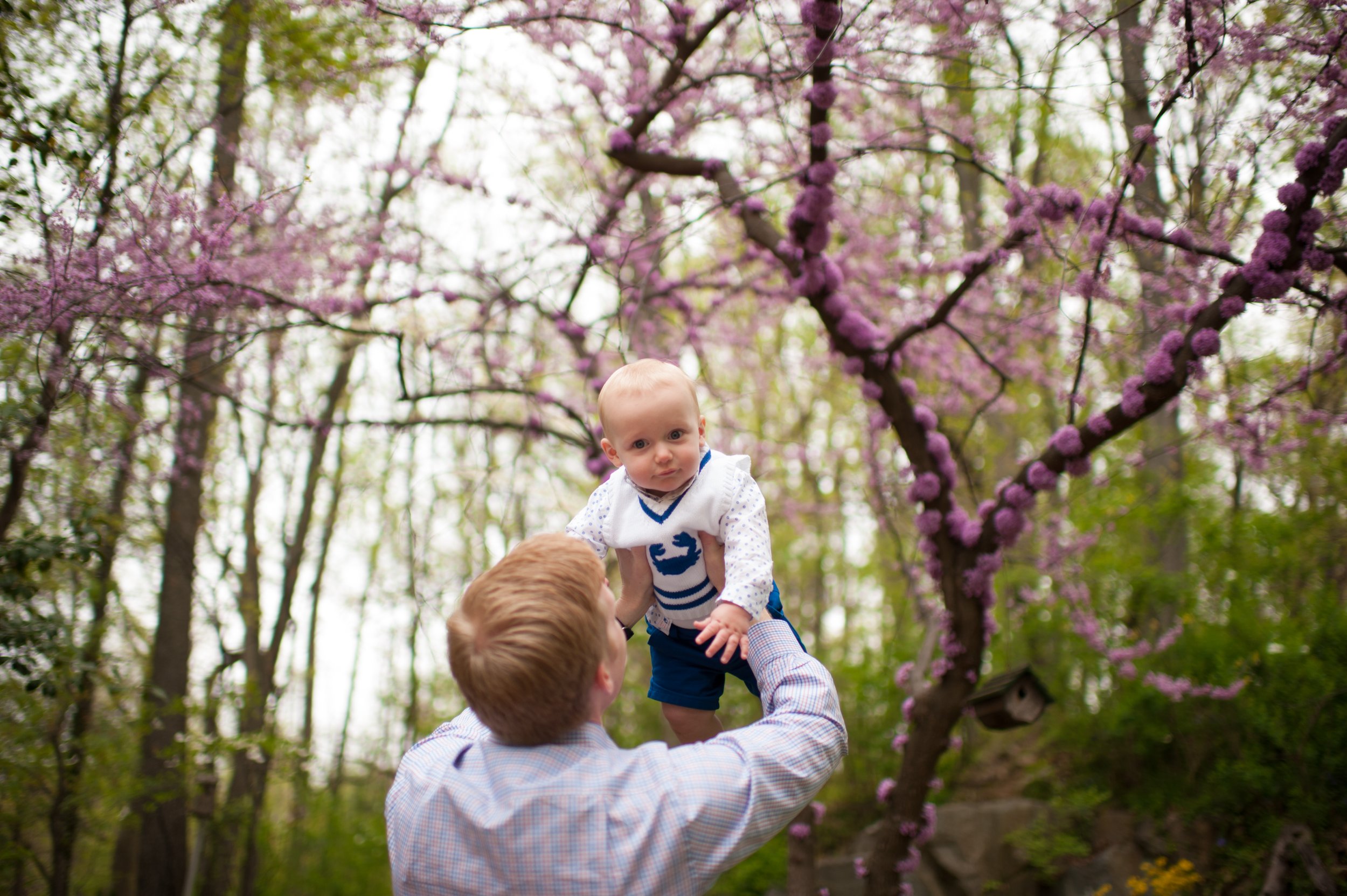 A man lifting a baby in a garden with blooming pink trees.