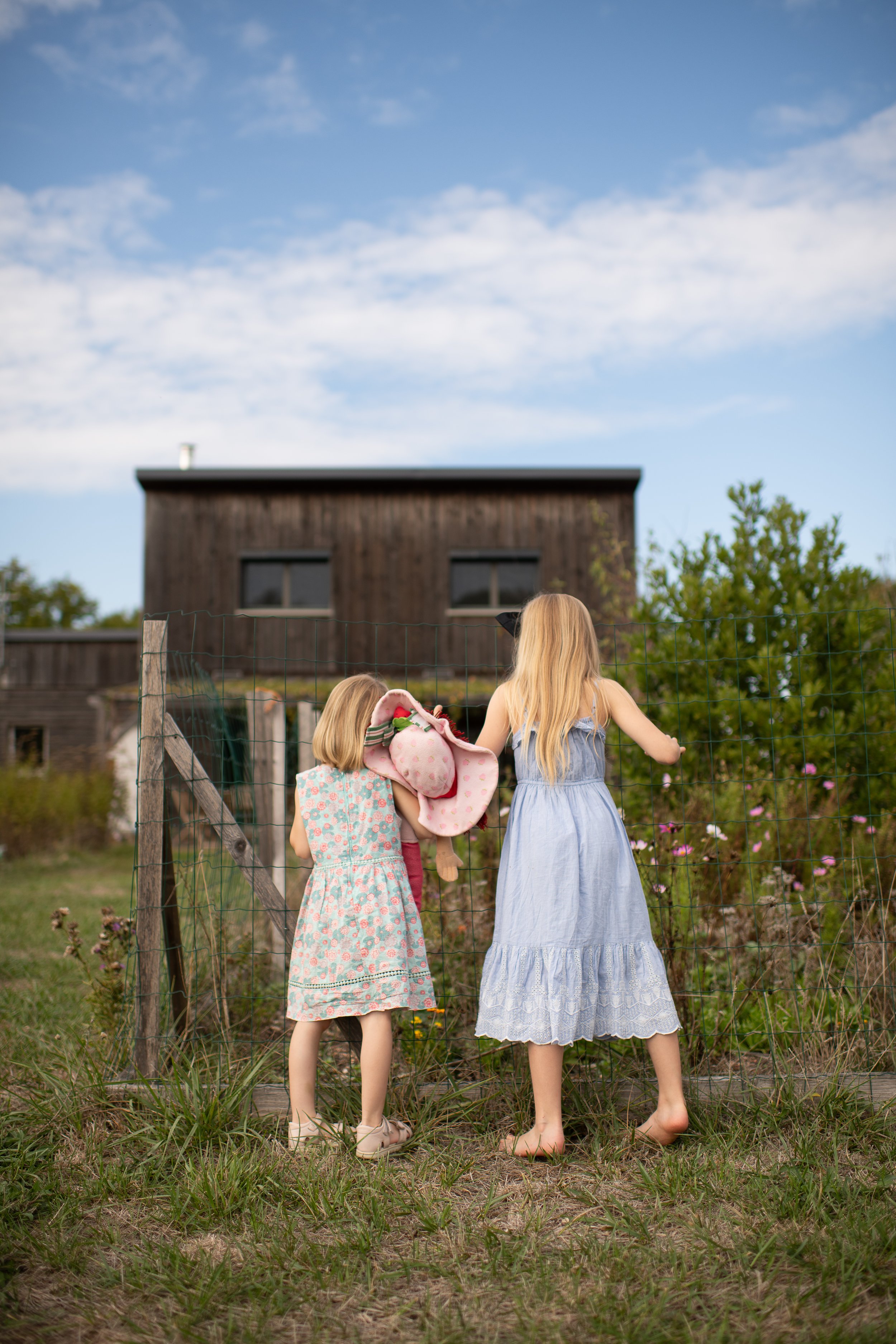 Two young girls with blonde hair, wearing summer dresses, are standing outdoors, looking over a wooden fence towards a rustic, dark brown house with windows. The scene is set in a grassy yard with some plants and flowers. The sky is blue with some cl