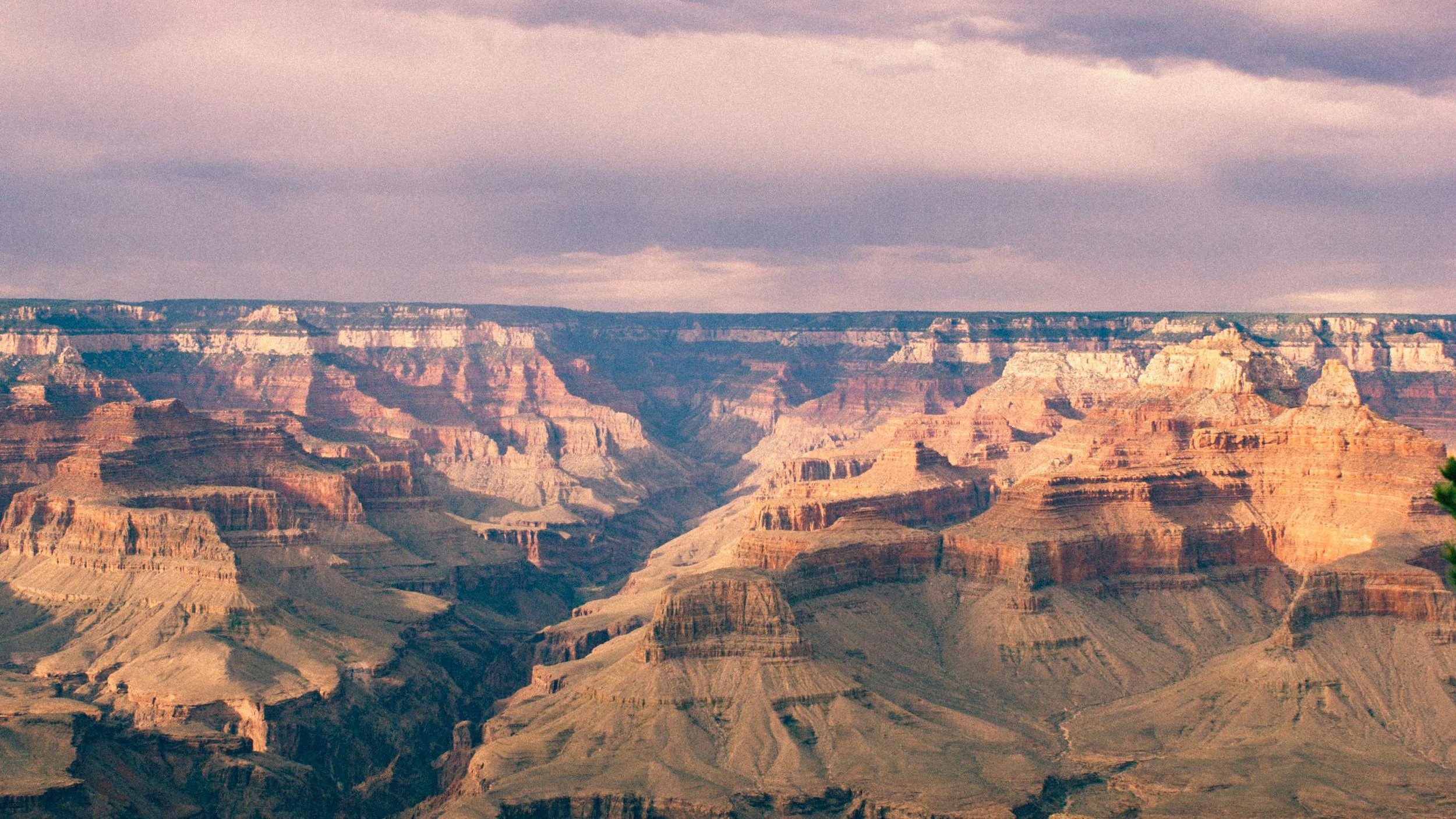 Bloomberg: How Trump Pushed U.S. Park Rangers to the Breaking Point—and a Union Drive