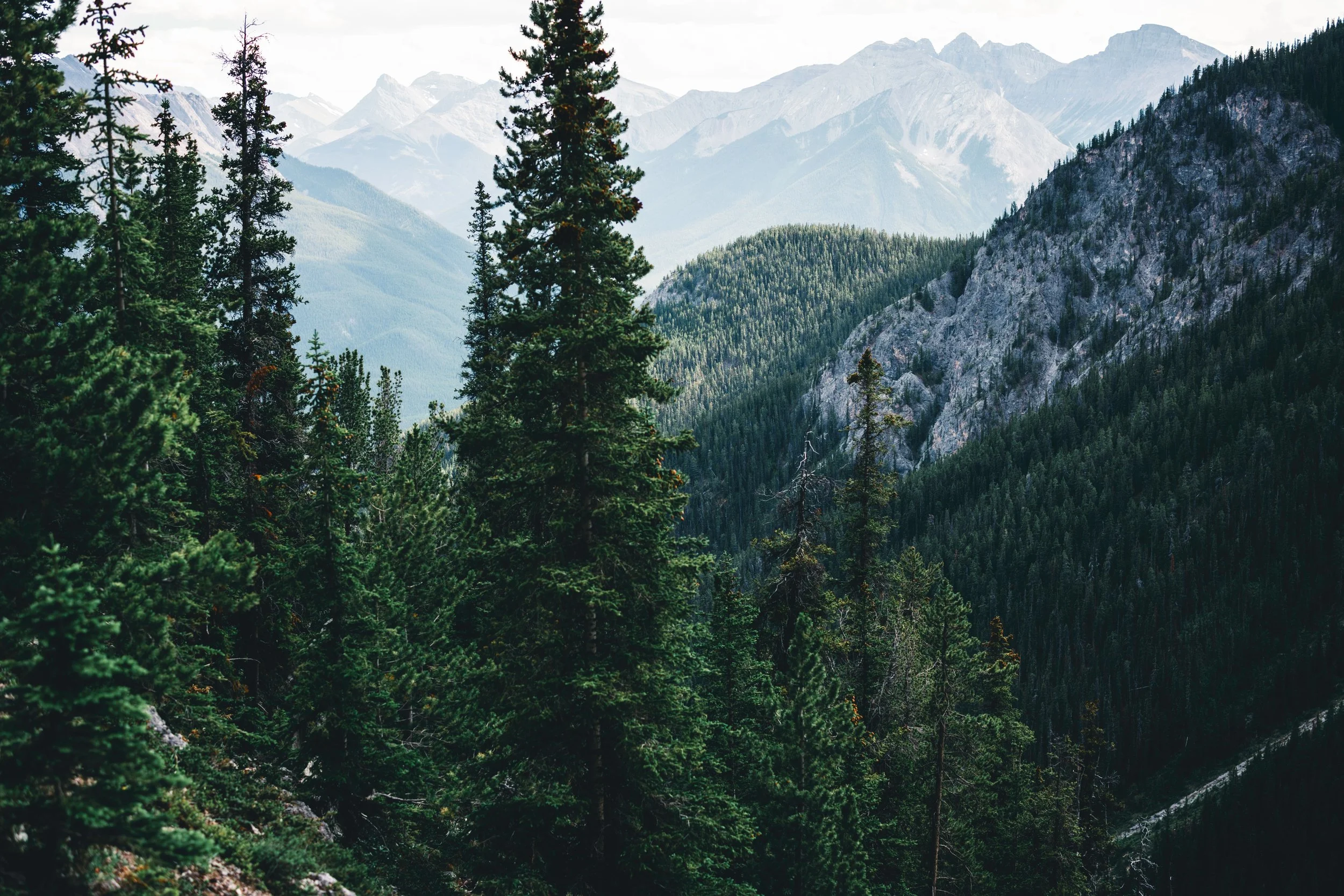 ‘Paid in Sunsets’: Hundreds of National Park Employees Join Unions for Fair Treatment