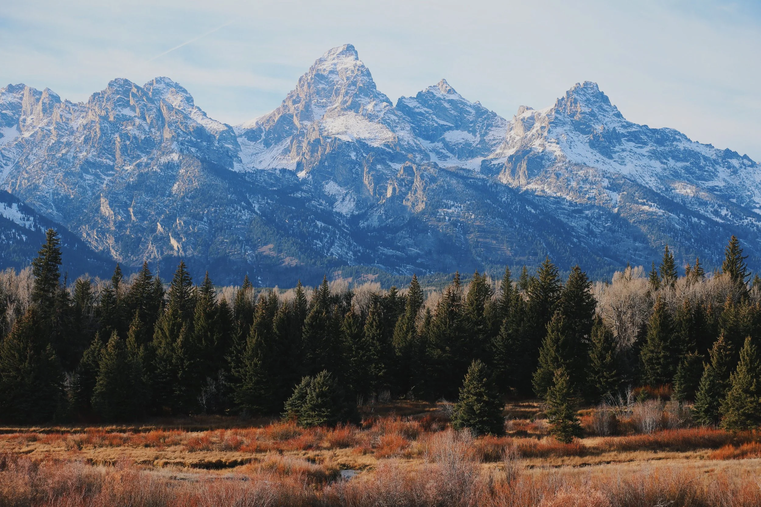 Grand Teton National Park employees unionize