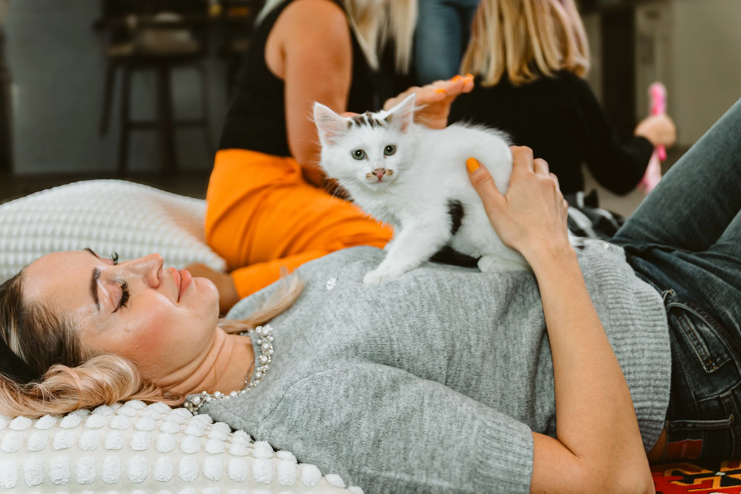 Keeping Your Turkish Van Happy and Healthy