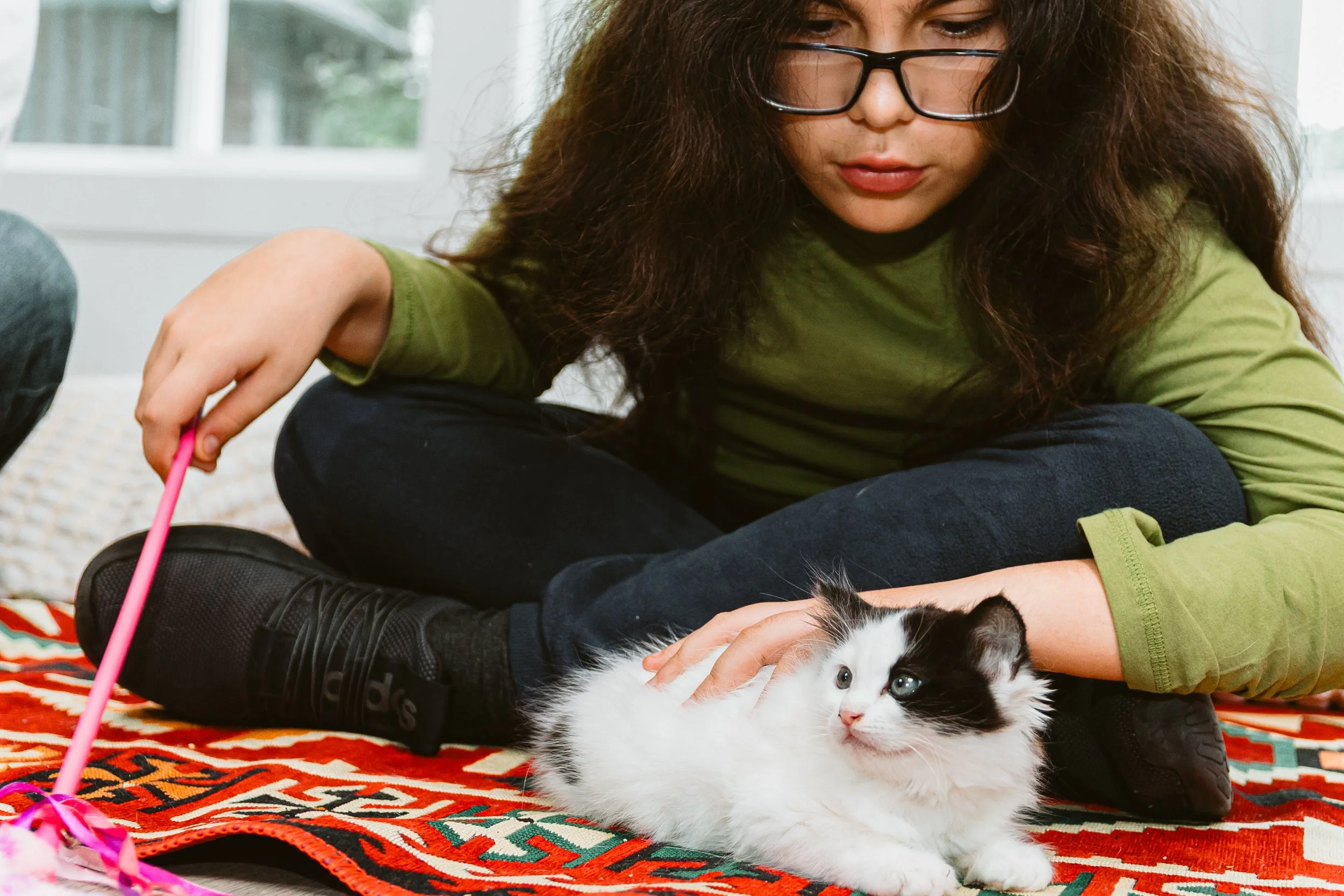 A girl with glasses and curly hair, wearing a green long sleeve shirt and black pants, playing with a black and white cat on a patterned rug in a bright room.