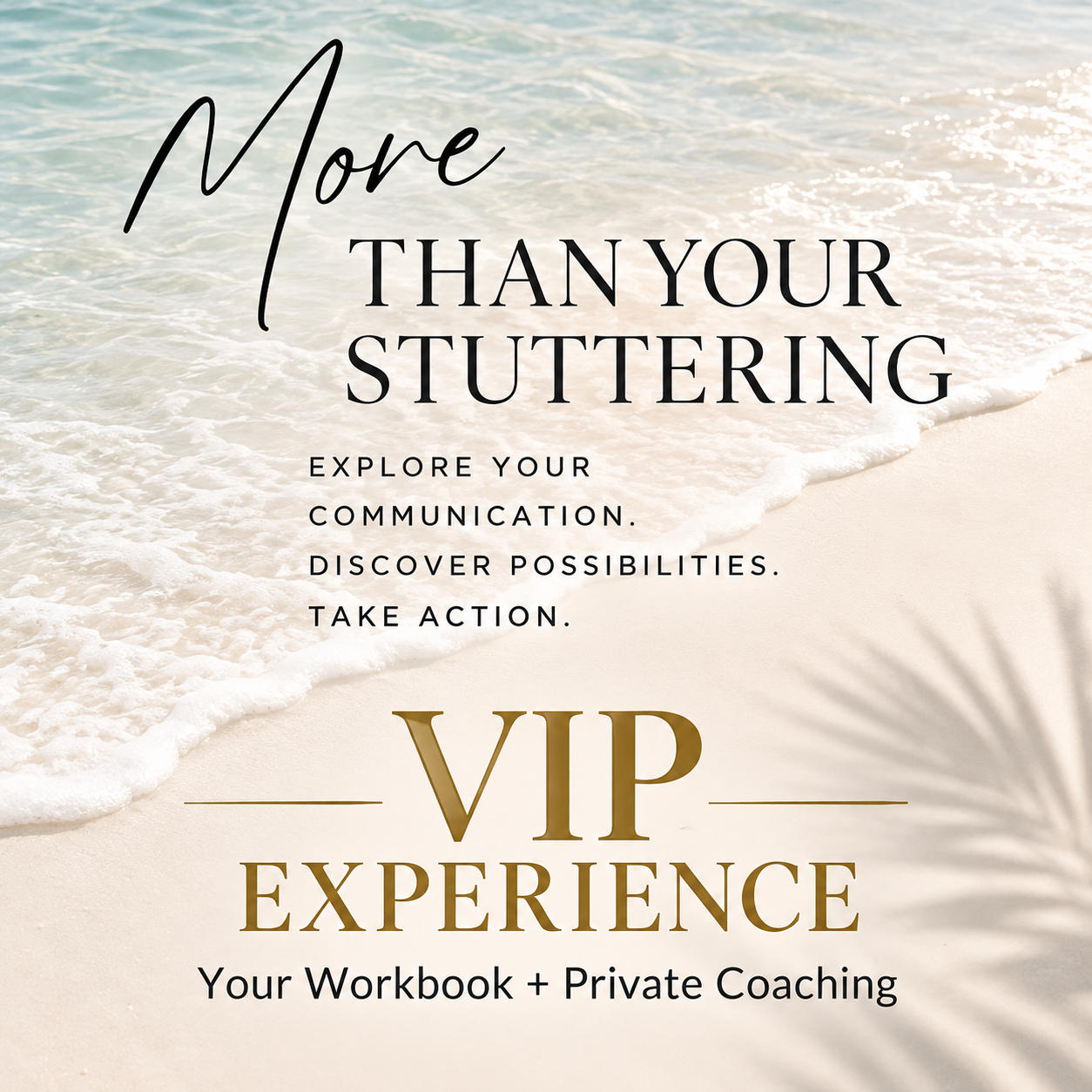 More Than Your Stuttering_ VIP Experience.png