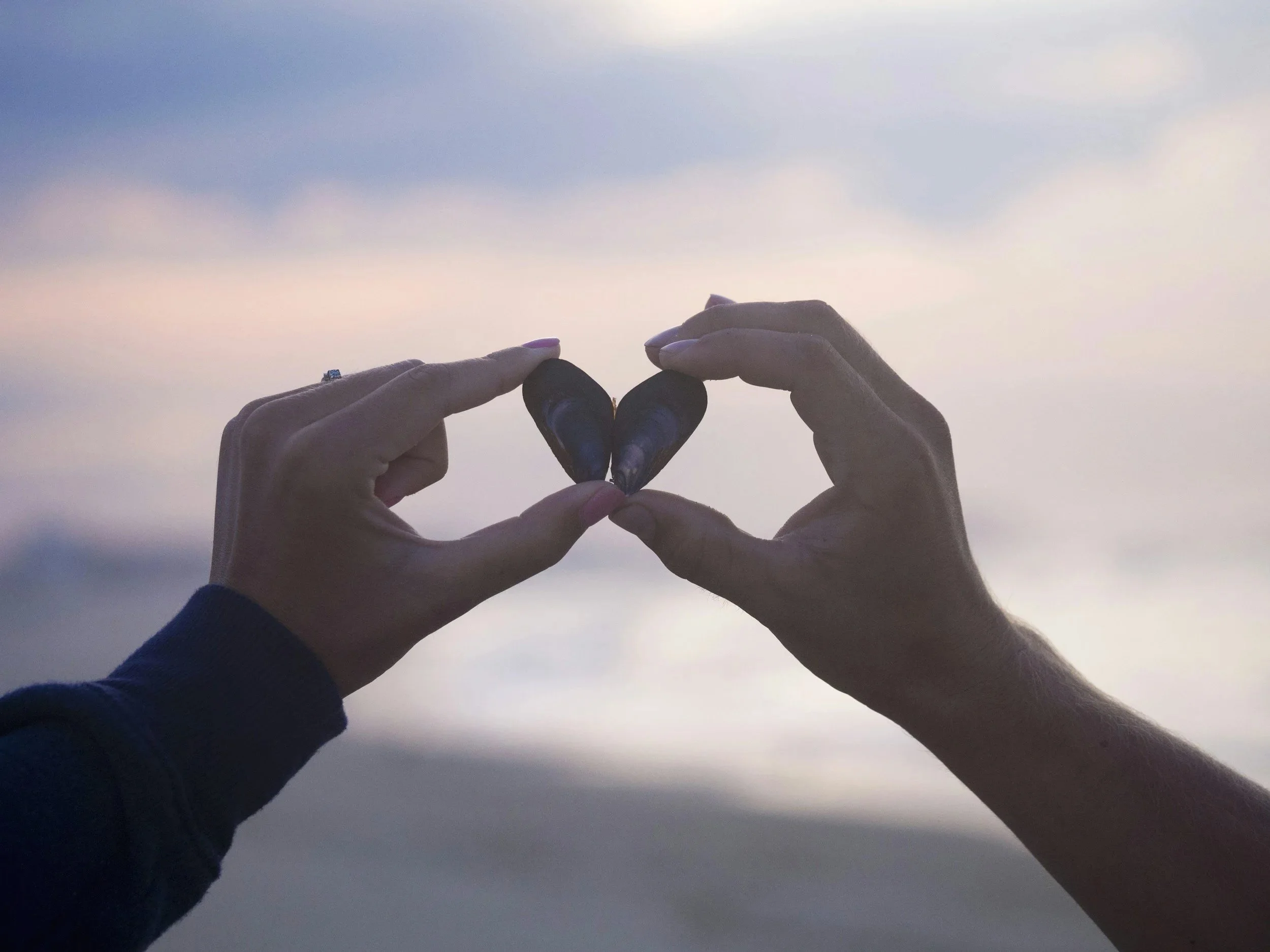 Two hands holding mussel shells together to form a heart shape against a cloudy sky.