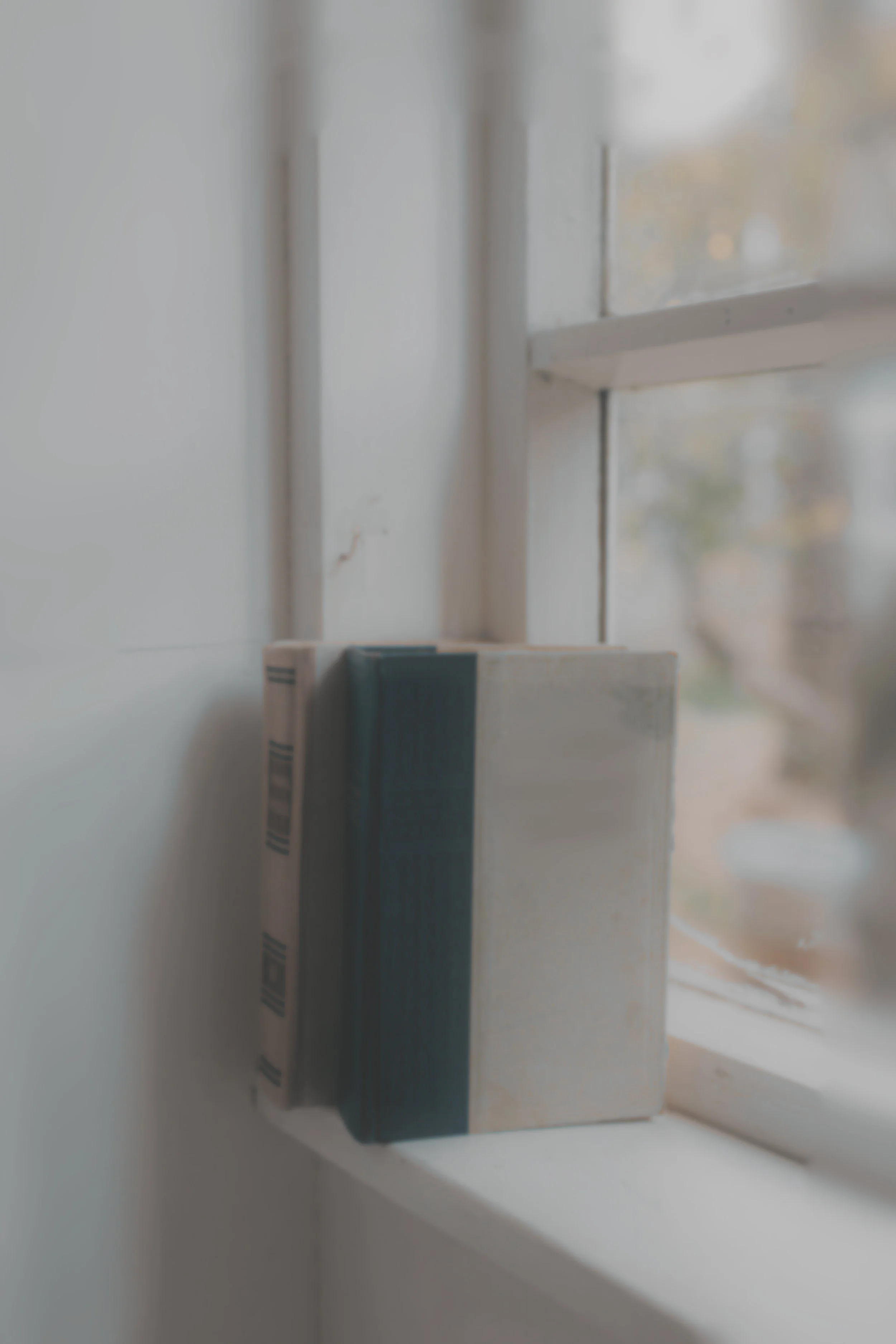 Roligt miljø med bøger og viden i klinikken Kit Ballermann