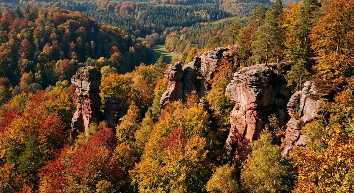 Herbstlicher Waldblick Pfalz Yoga Urlaub