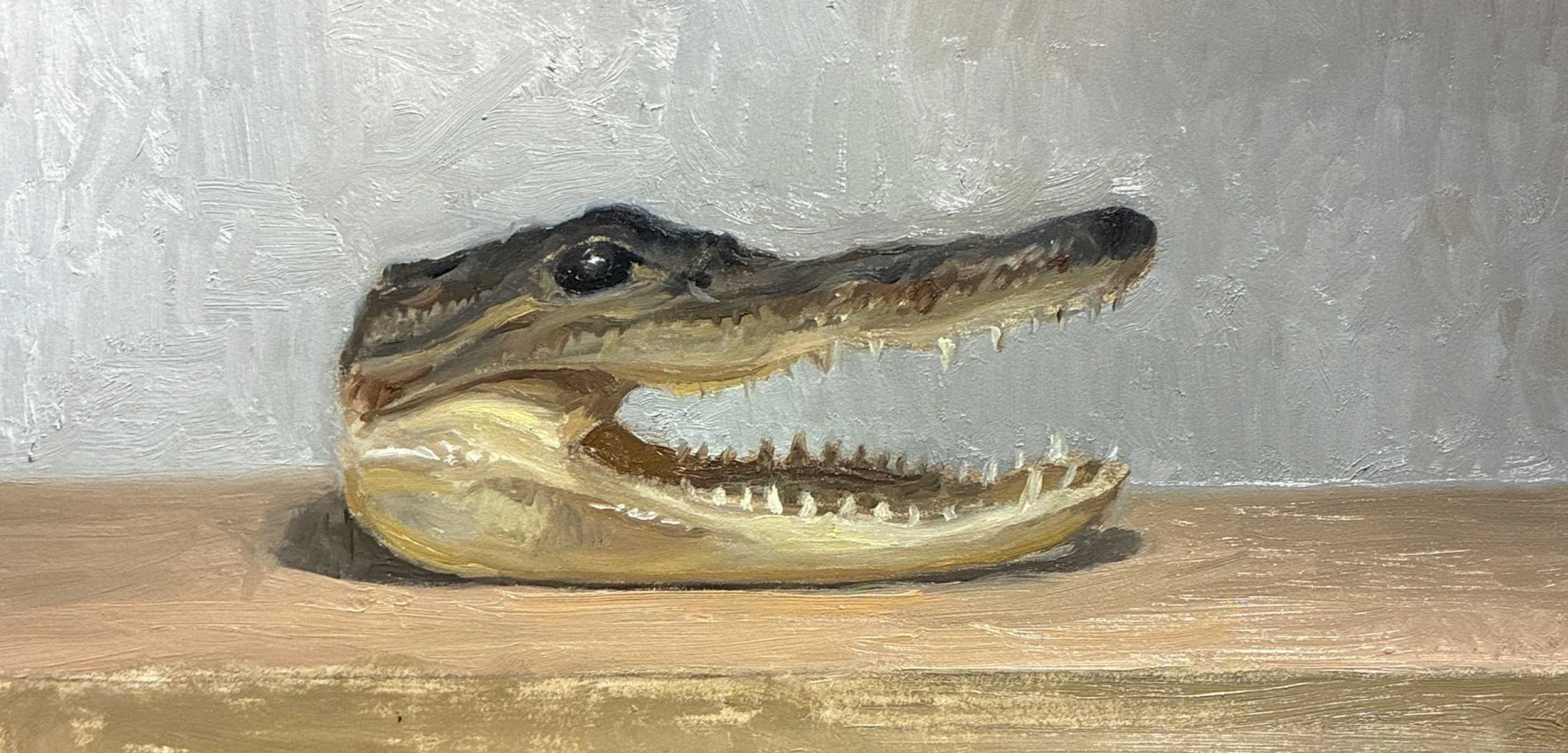 Alligator_Study.jpg
