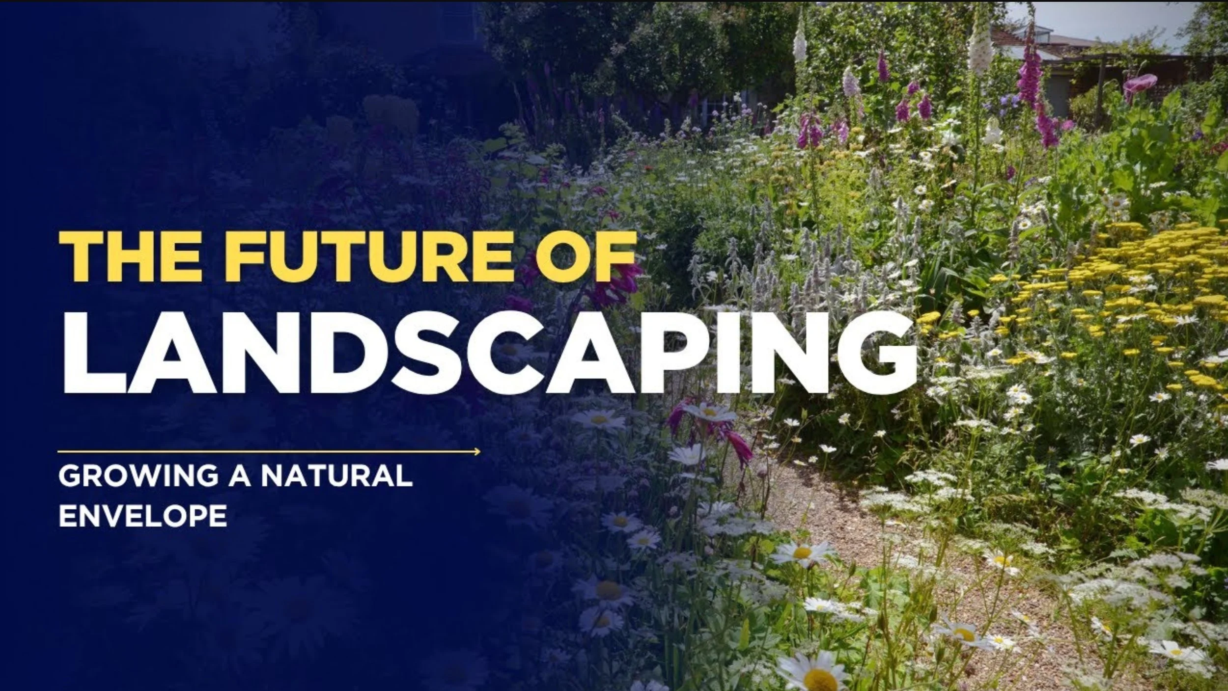 Growing a Natural EnvelopE - green roofs and more
