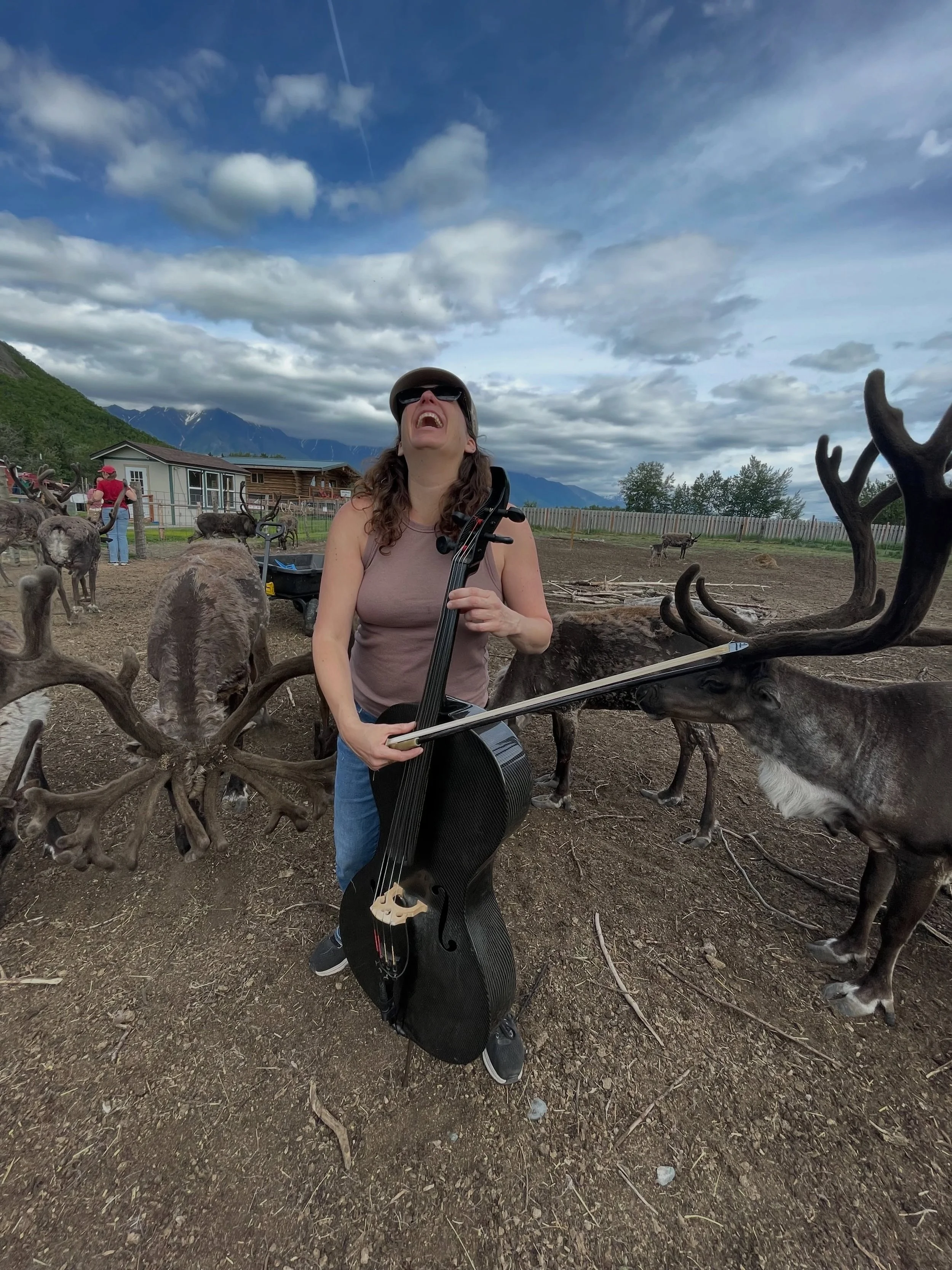 Let&rsquo;s just say that the Alaska tour is off to a great start. First, a concert for reindeer - stay tuned for the video from that moment. 
Then off to the Musk Ox Farm for a big concert for people. 
Tomorrow, we&rsquo;re headed to the Solstice Su