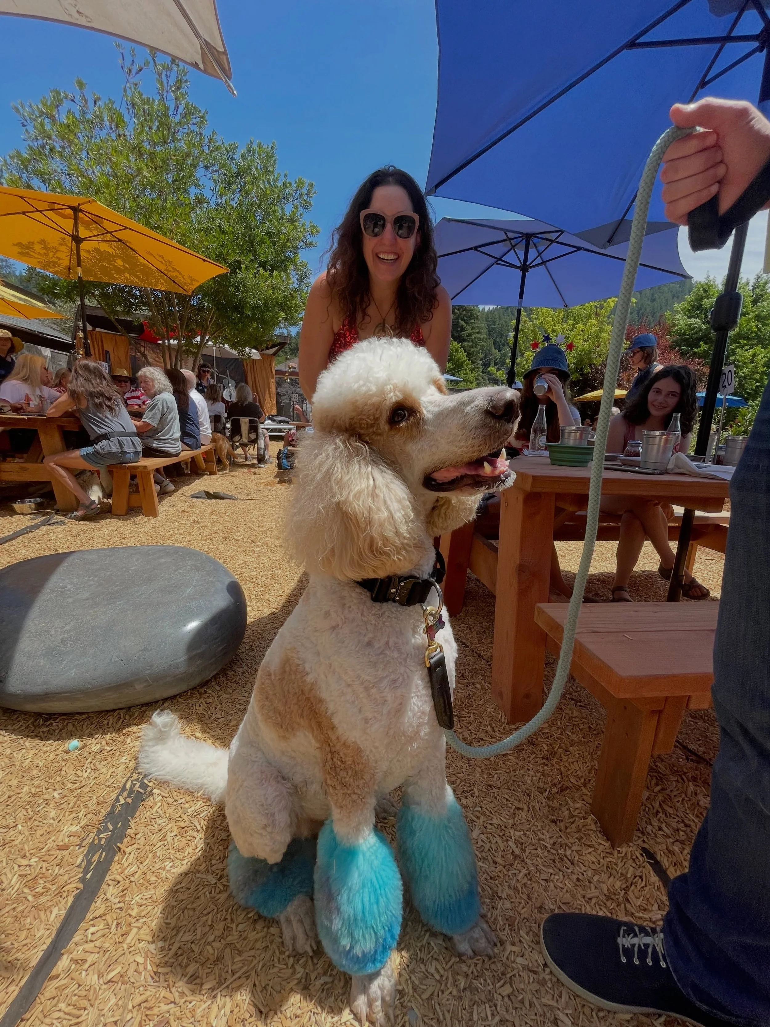 Summer is in full swing and we&rsquo;re having a great time. So far we&rsquo;ve been to Alaska, Idaho, Montana and the Seattle area twice. We even squeezed in 2 Independence Day shows. At the first one we met this awesome dog. Hope to see everyone at
