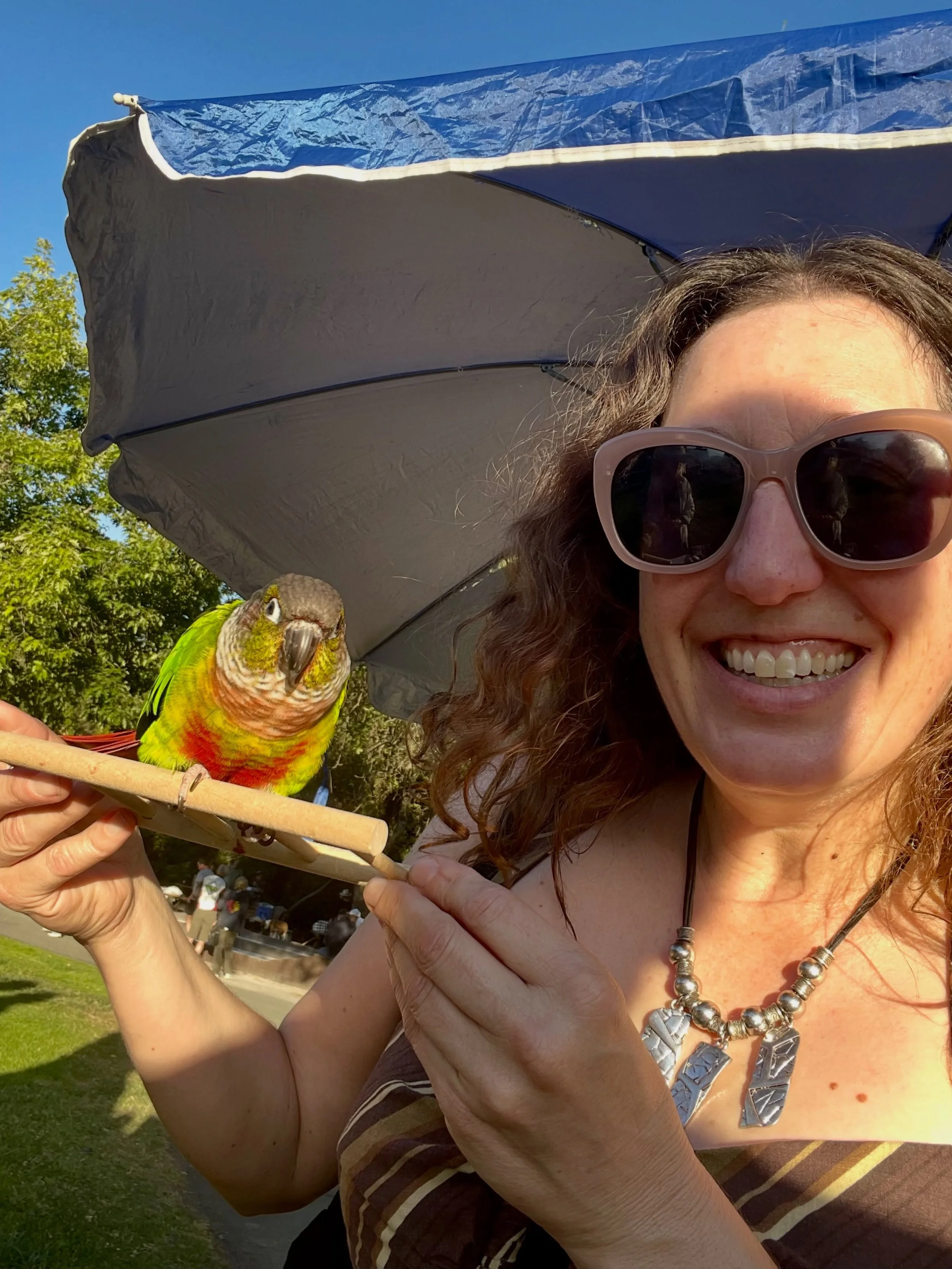 This is a first - a parakeet attended our concert in Moraga this past week. His name is Milo and apparently his owners say he loves attending concerts. They take him out of his cage and he just sits on a perch and watches.
We&rsquo;ve had other anima